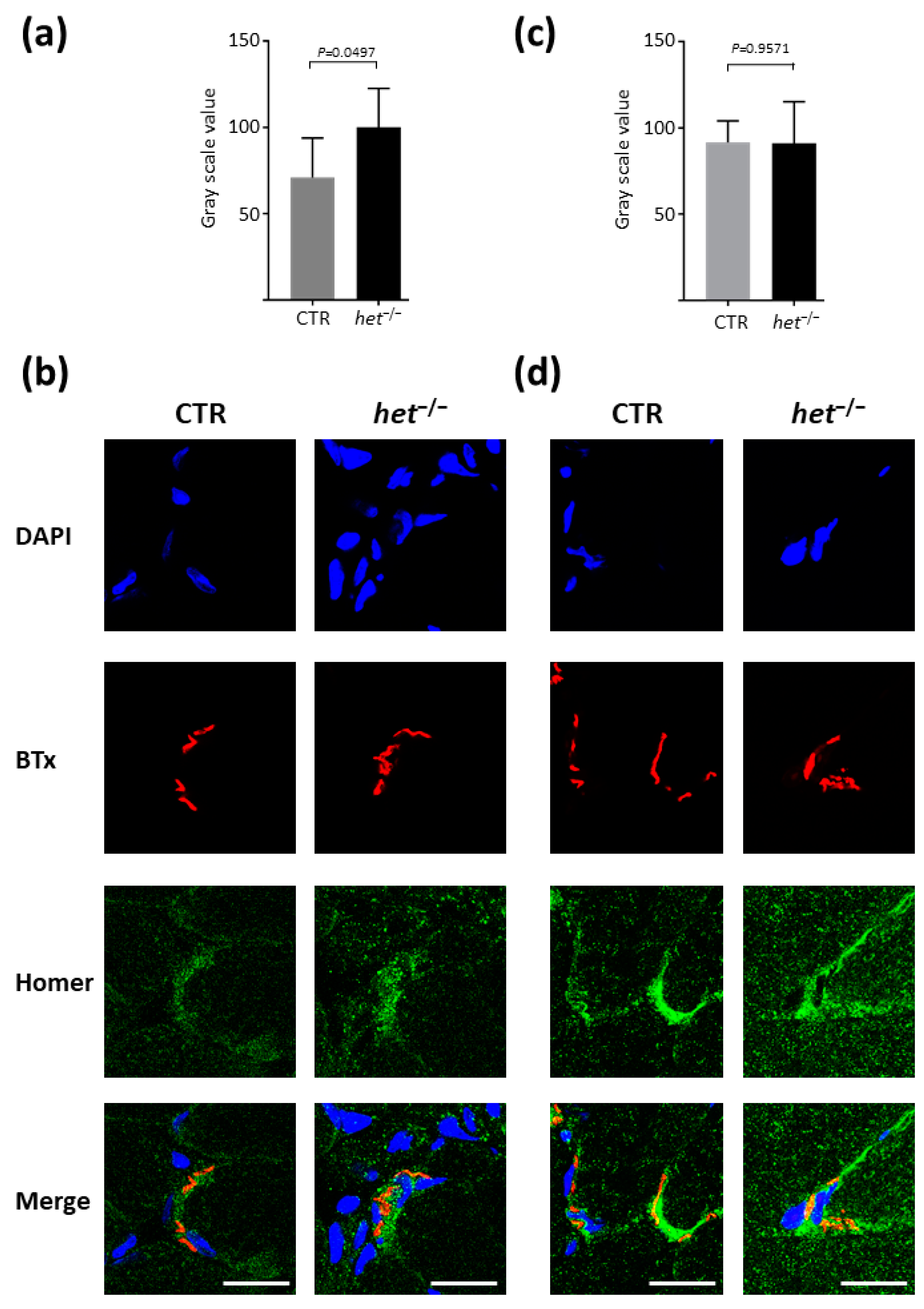 Ijms 25 08577 g002 Ijms 25 08577 g002