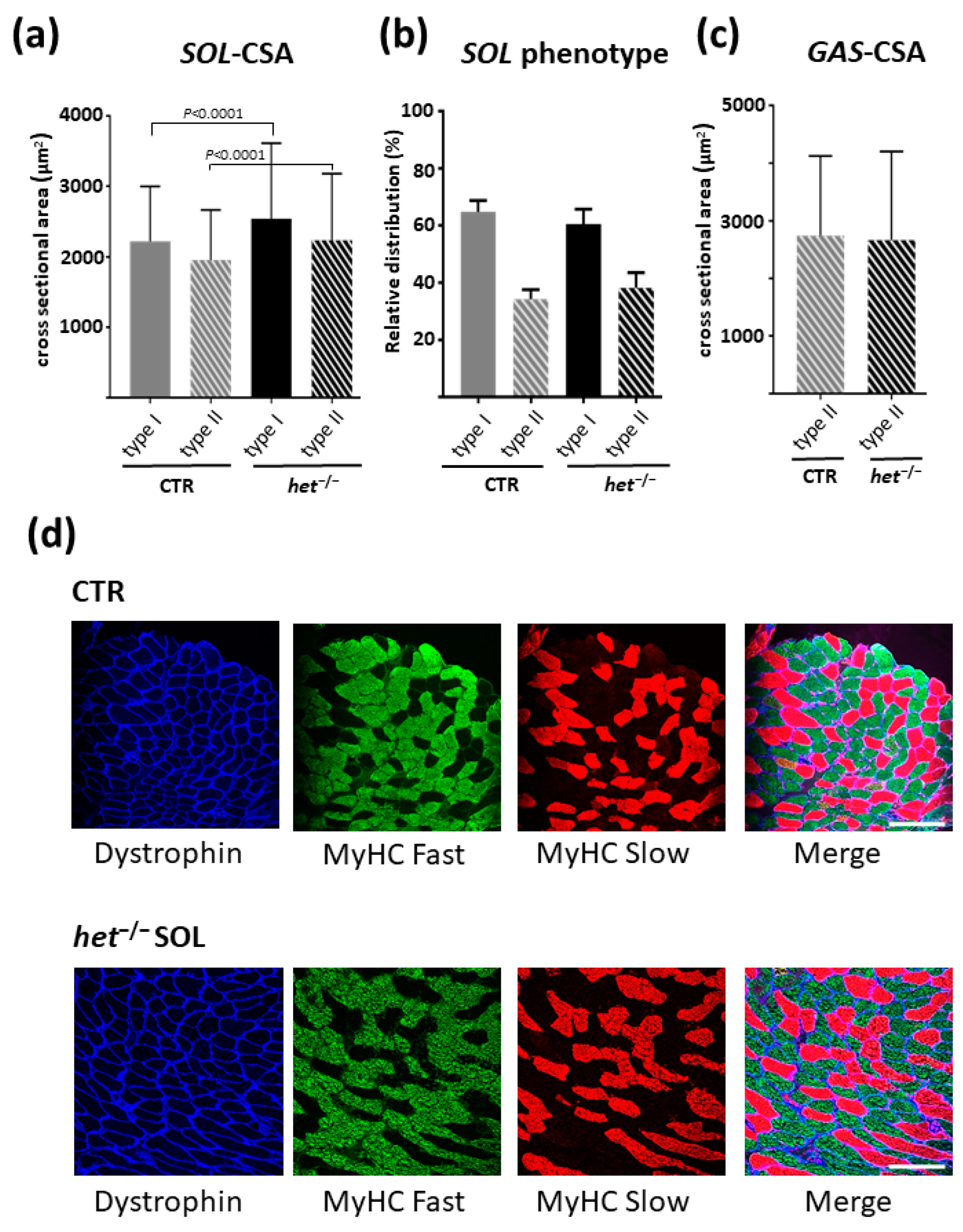 Ijms 25 08577 g005 Ijms 25 08577 g005