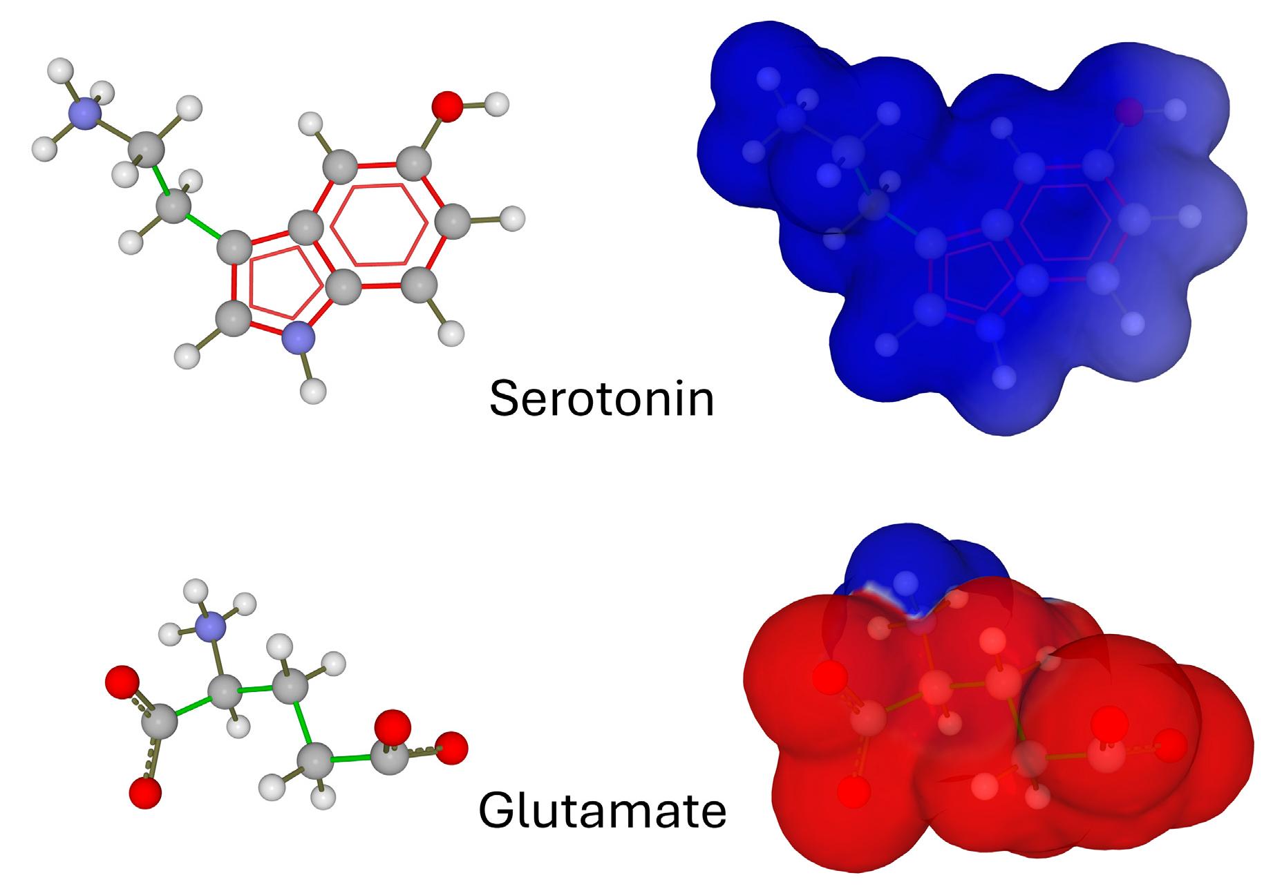 Ijms 25 08583 g001 Ijms 25 08583 g001