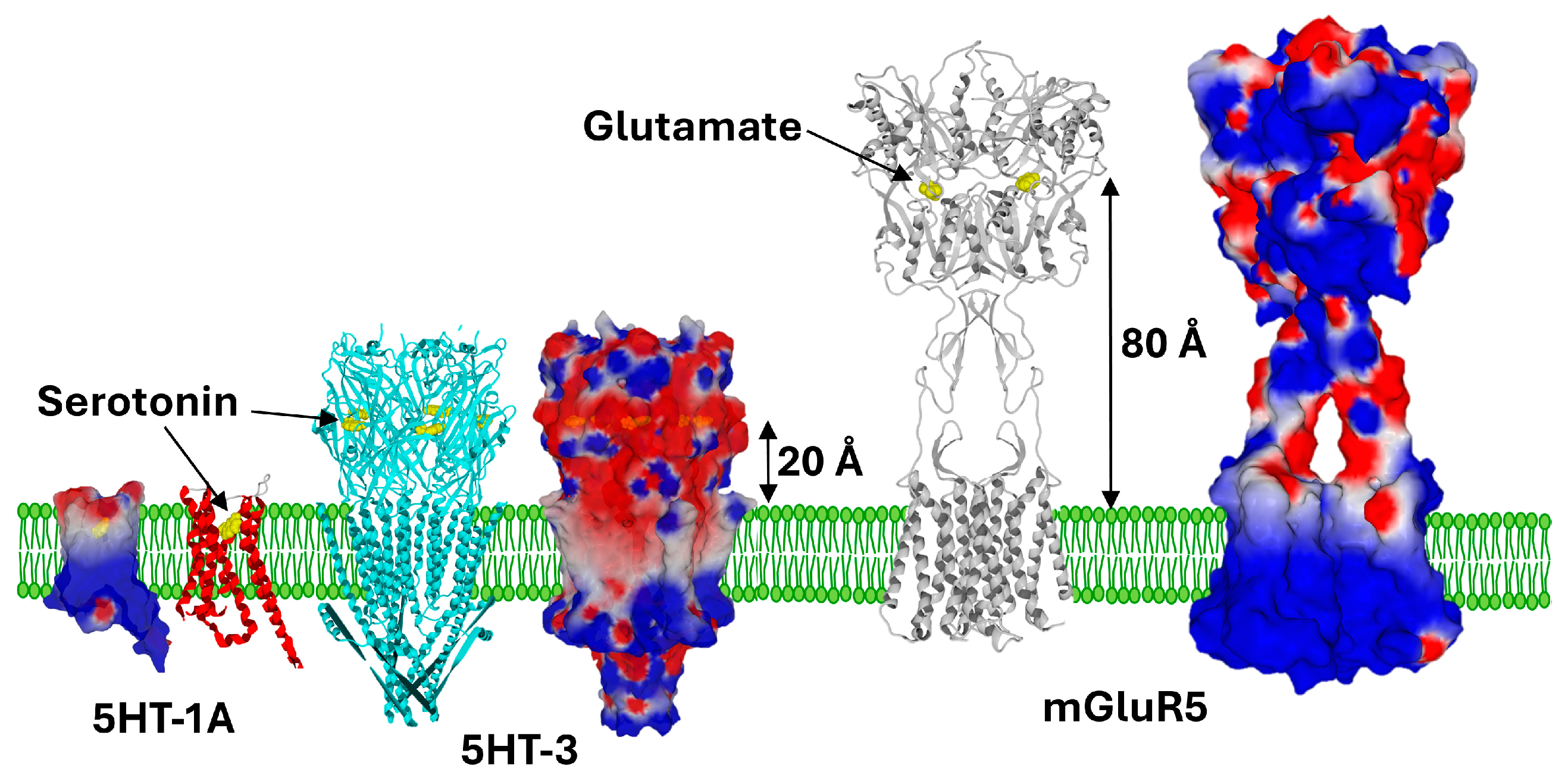 Ijms 25 08583 g003 Ijms 25 08583 g003