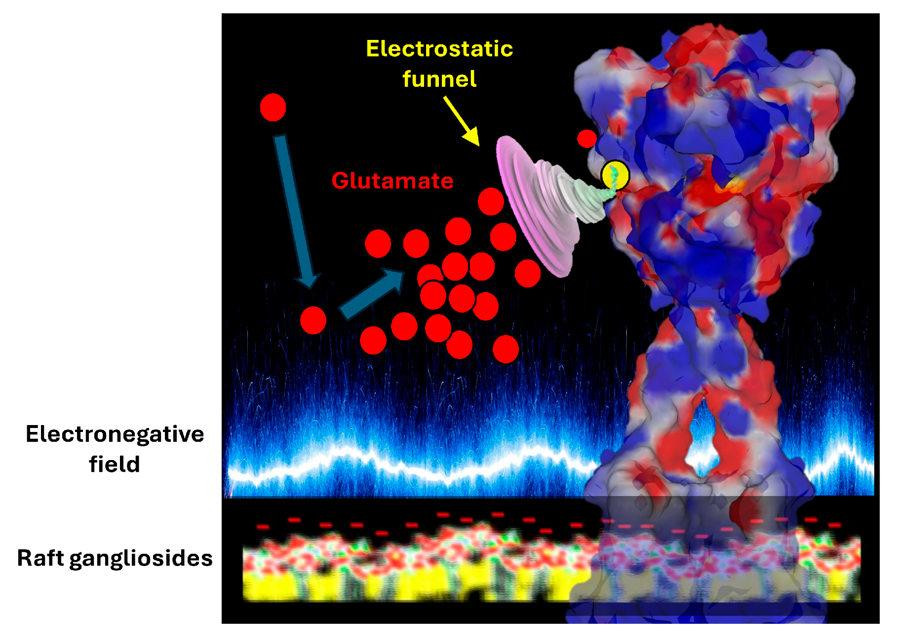 Ijms 25 08583 g004 Ijms 25 08583 g004