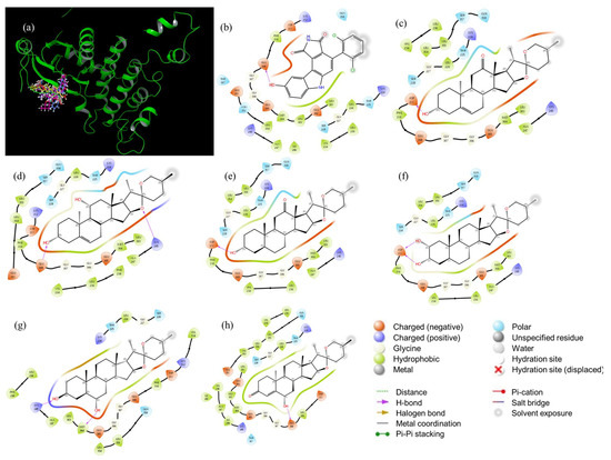 Correlation between Molecular Docking and the Stabilizing Correlation between Molecular Docking and the Stabilizing