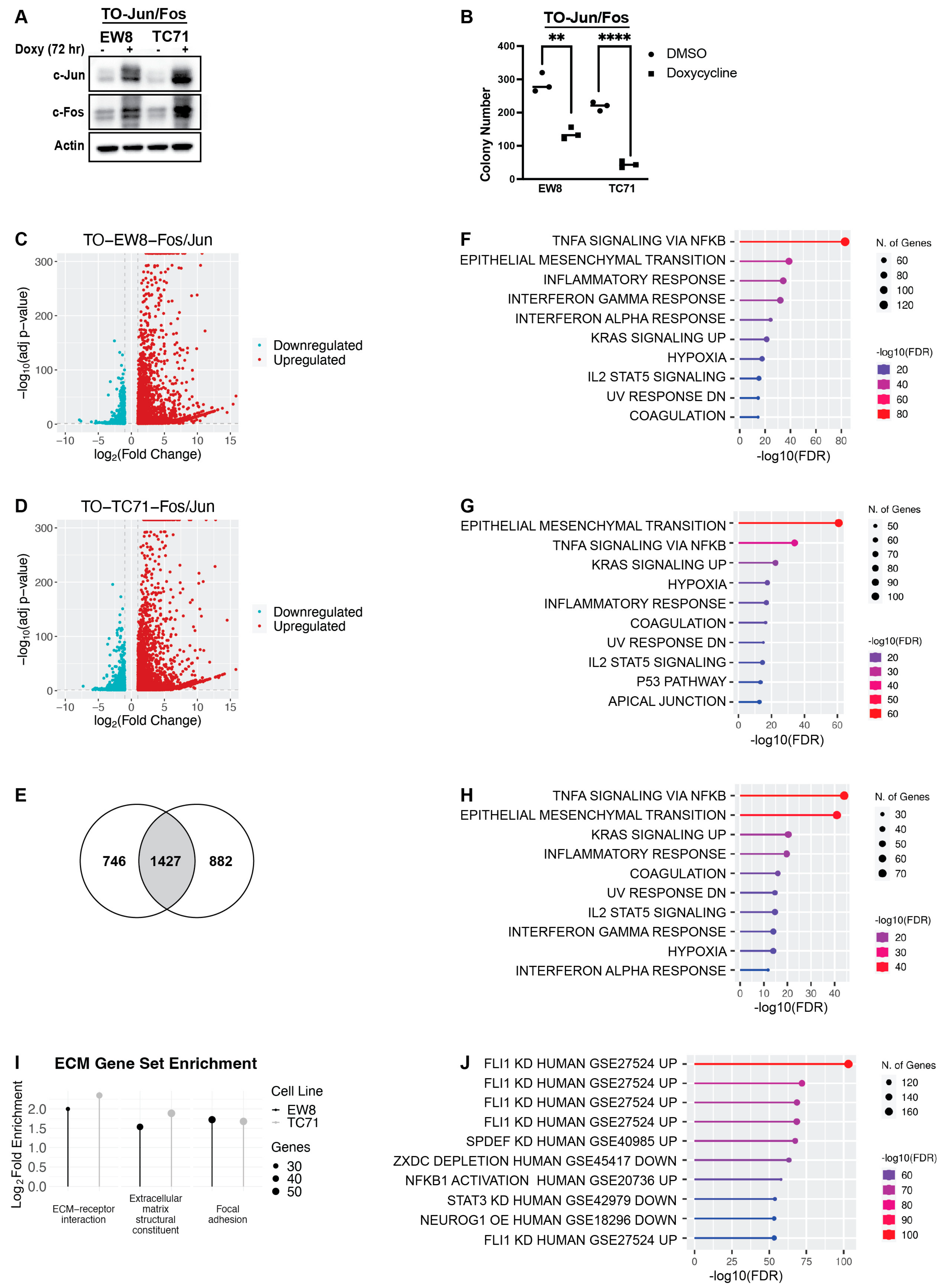 Ijms 25 08595 g001 Ijms 25 08595 g001