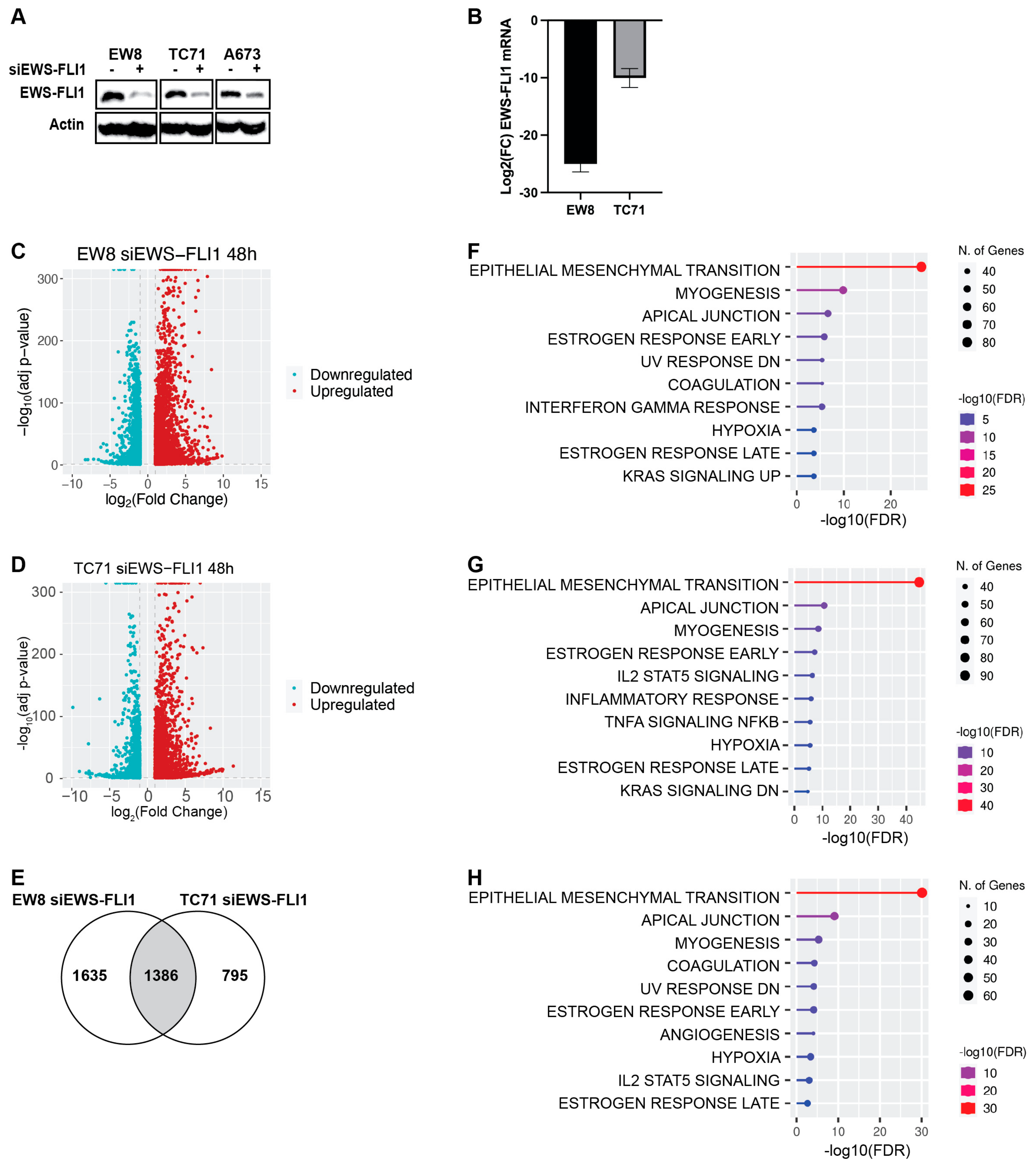 Ijms 25 08595 g002 Ijms 25 08595 g002