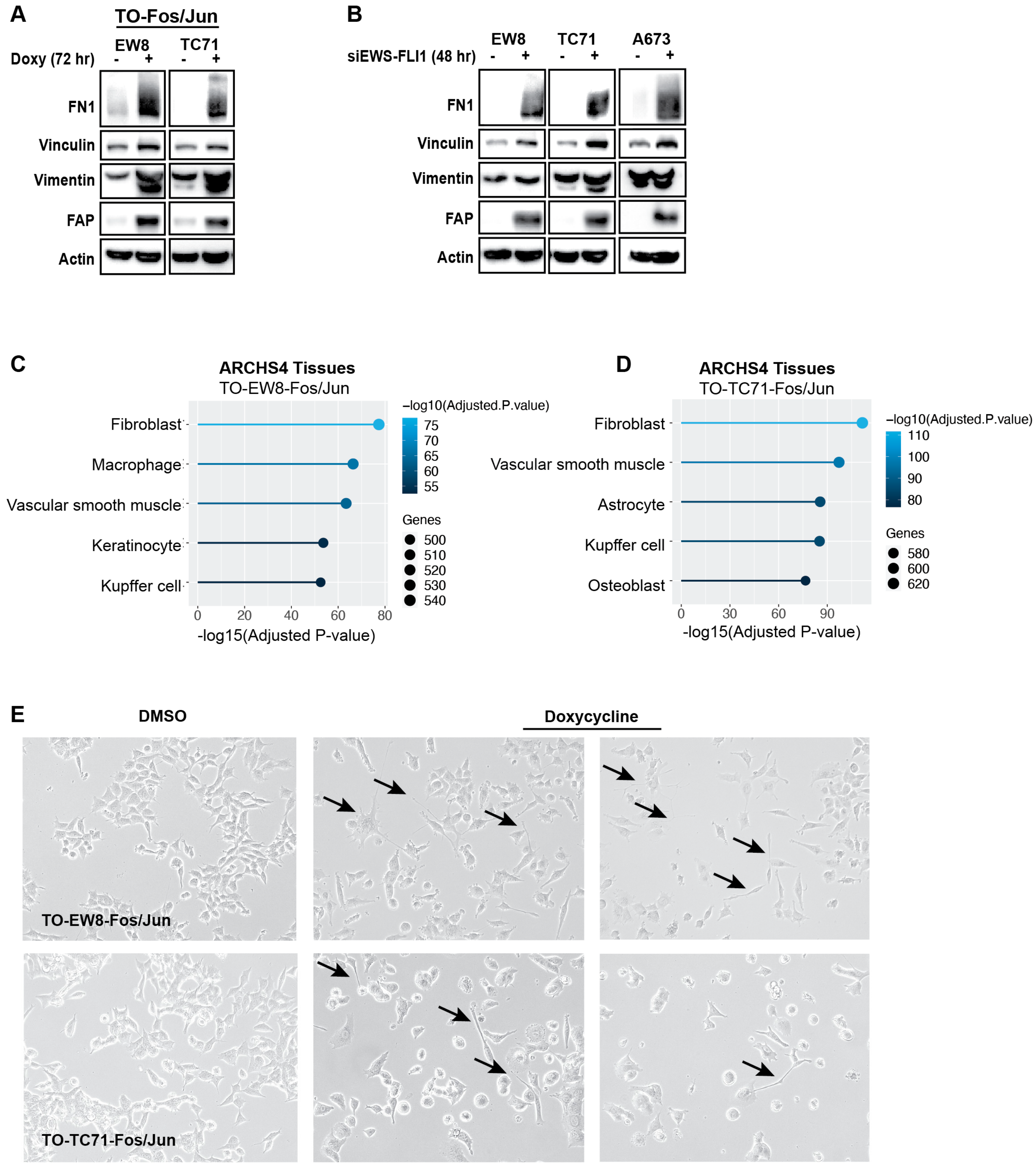 Ijms 25 08595 g005 Ijms 25 08595 g005