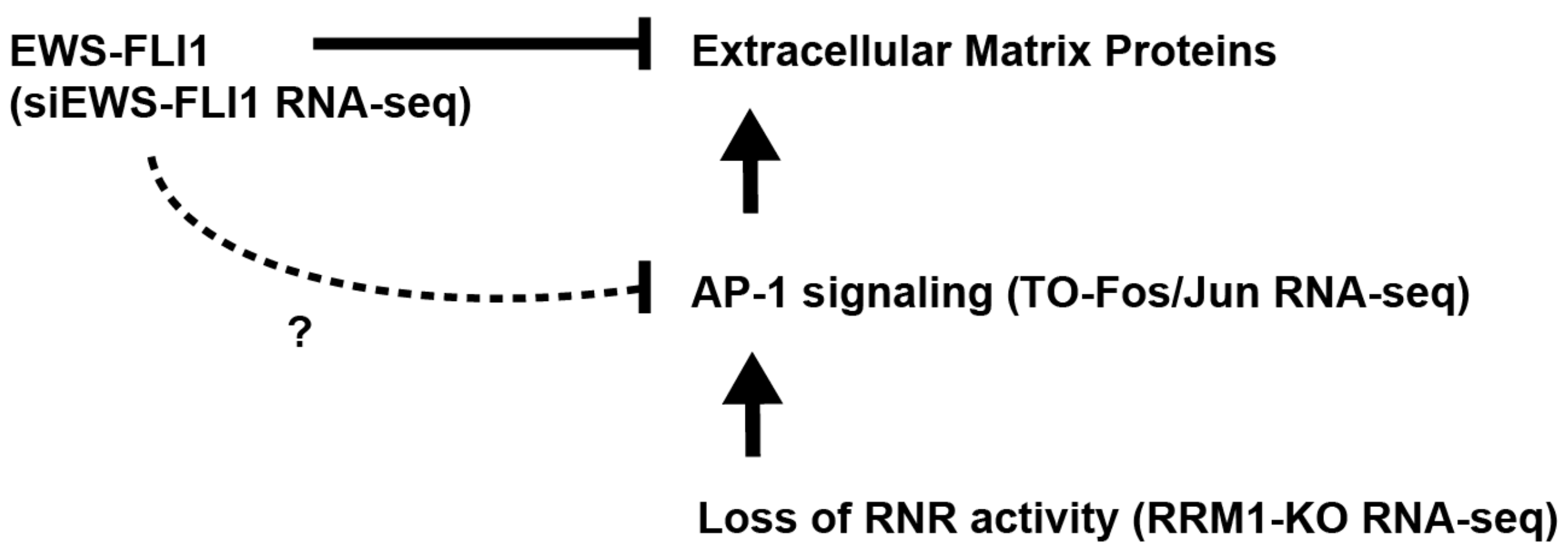 Ijms 25 08595 g006 Ijms 25 08595 g006