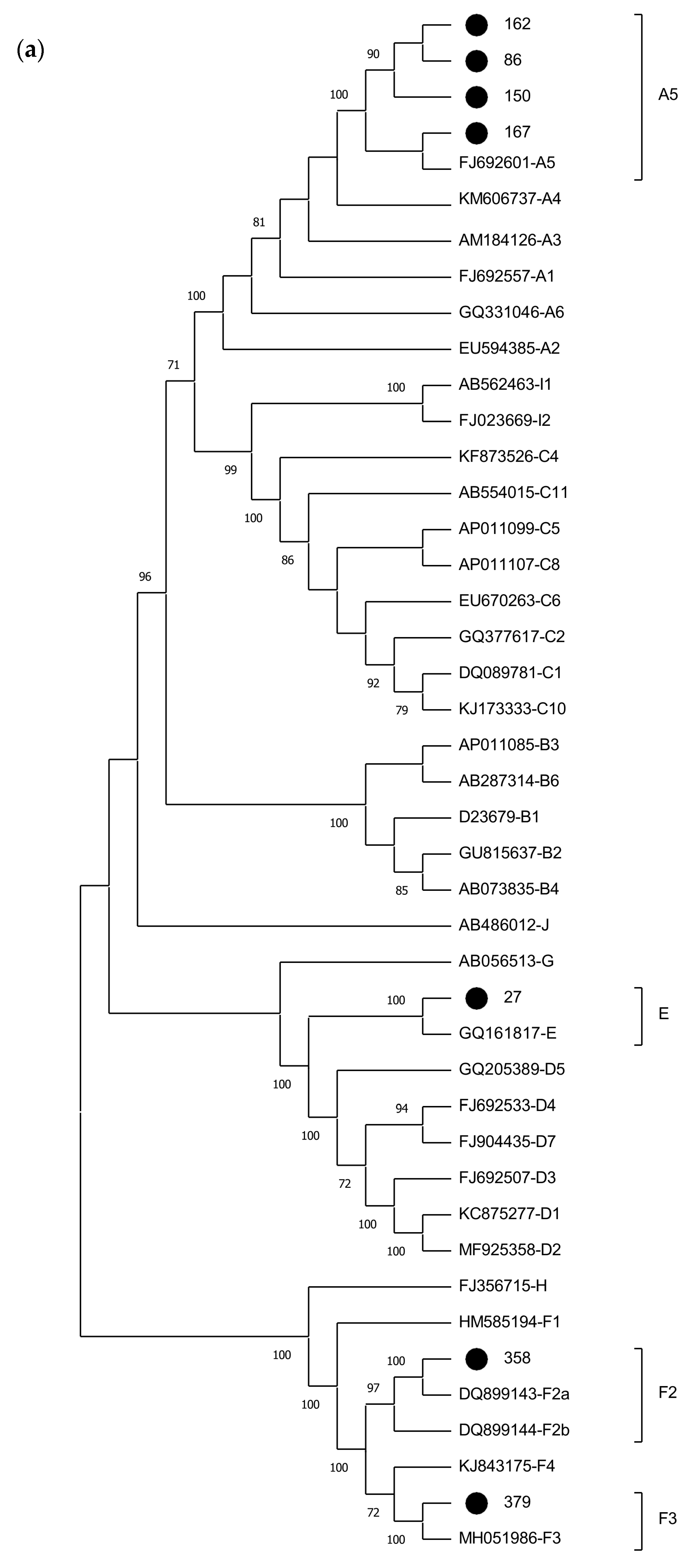 Ijms 25 08602 g001a Ijms 25 08602 g001a