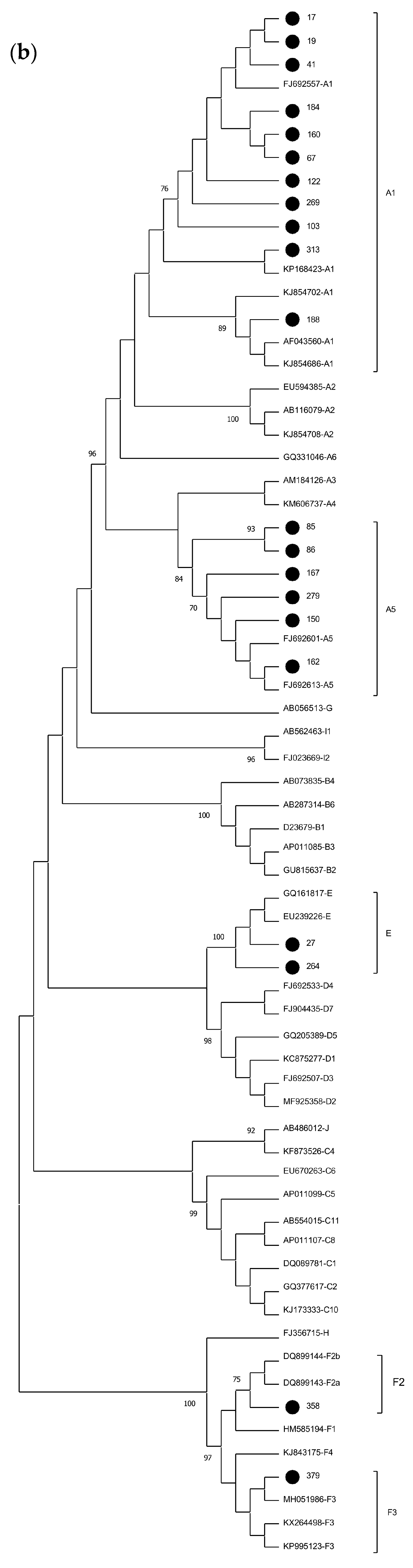 Ijms 25 08602 g001b Ijms 25 08602 g001b