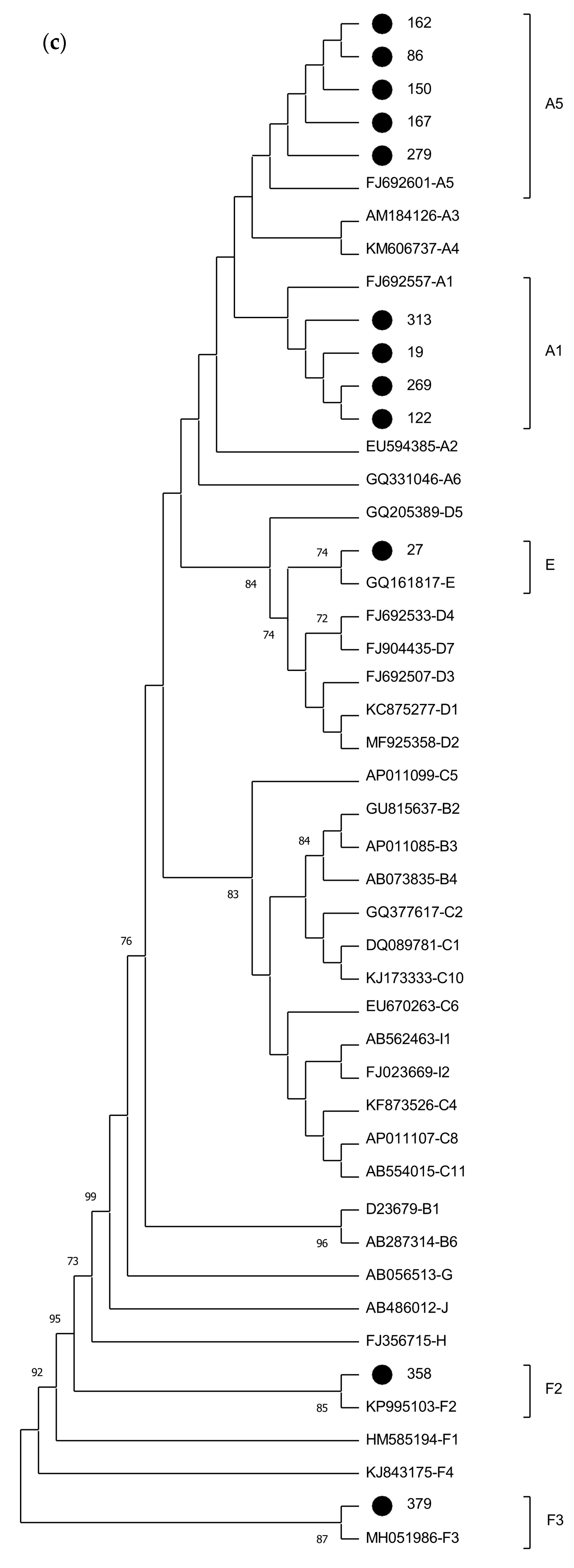 Ijms 25 08602 g001c Ijms 25 08602 g001c