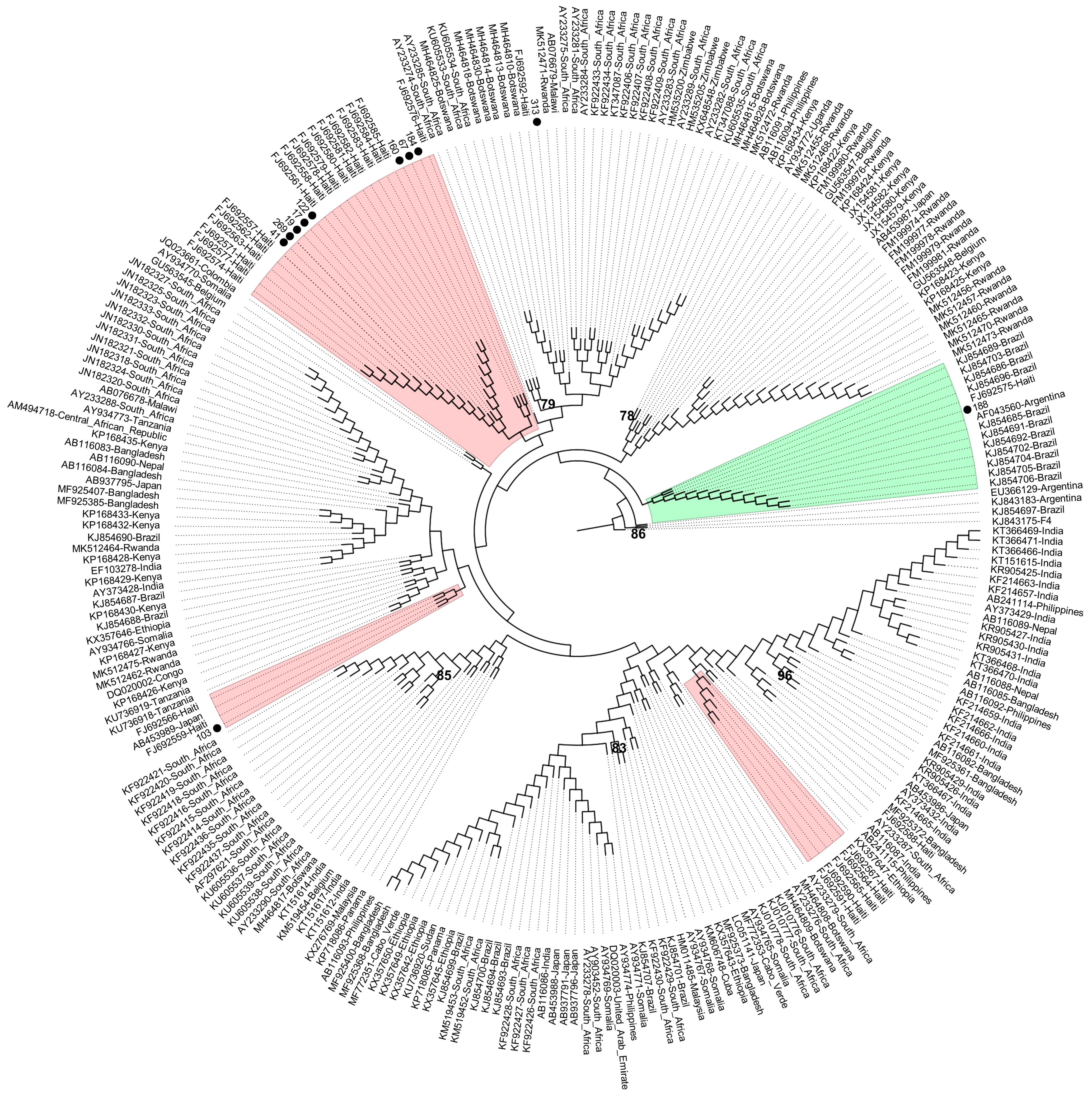 Ijms 25 08602 g003 Ijms 25 08602 g003