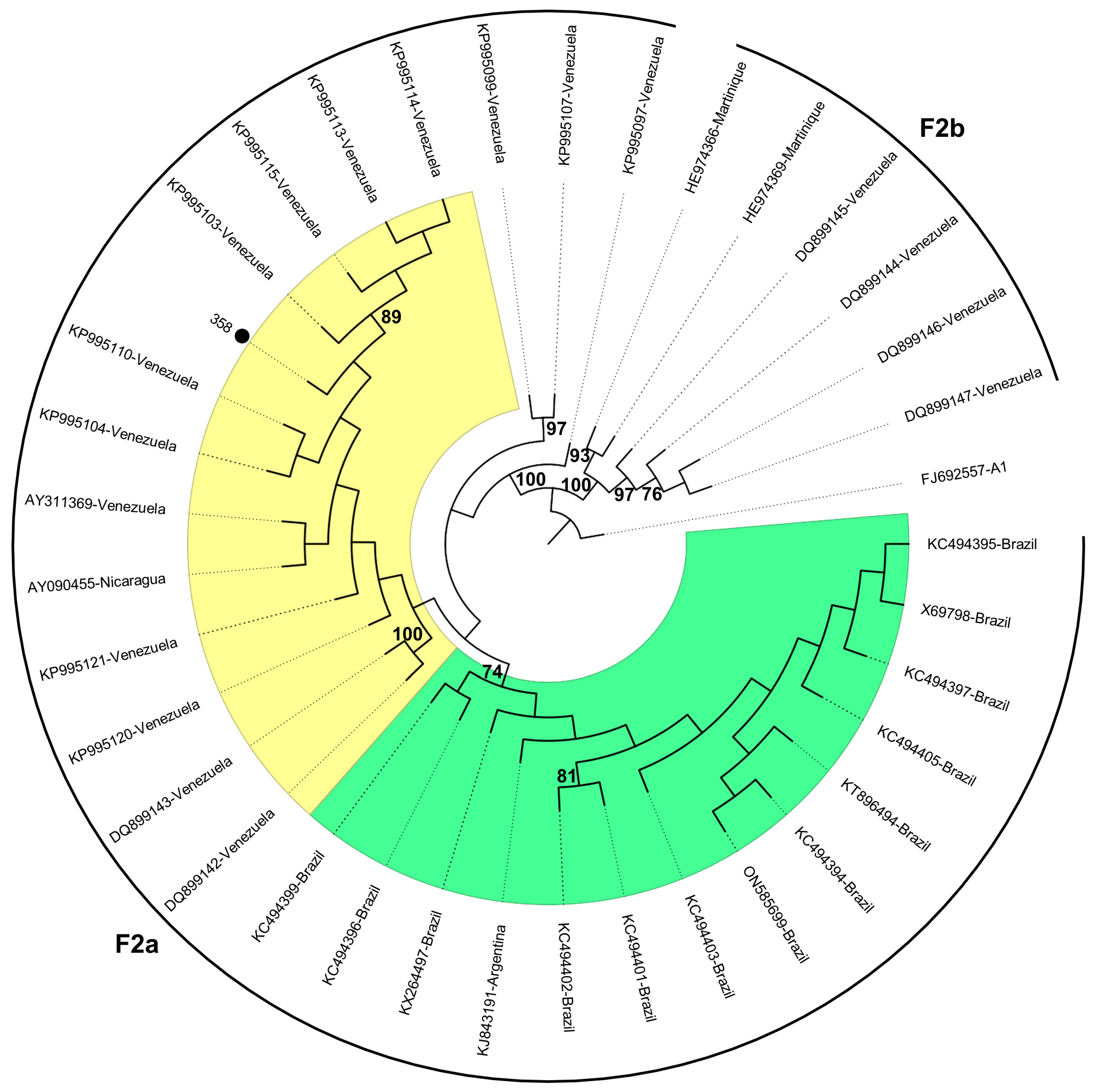 Ijms 25 08602 g004 Ijms 25 08602 g004