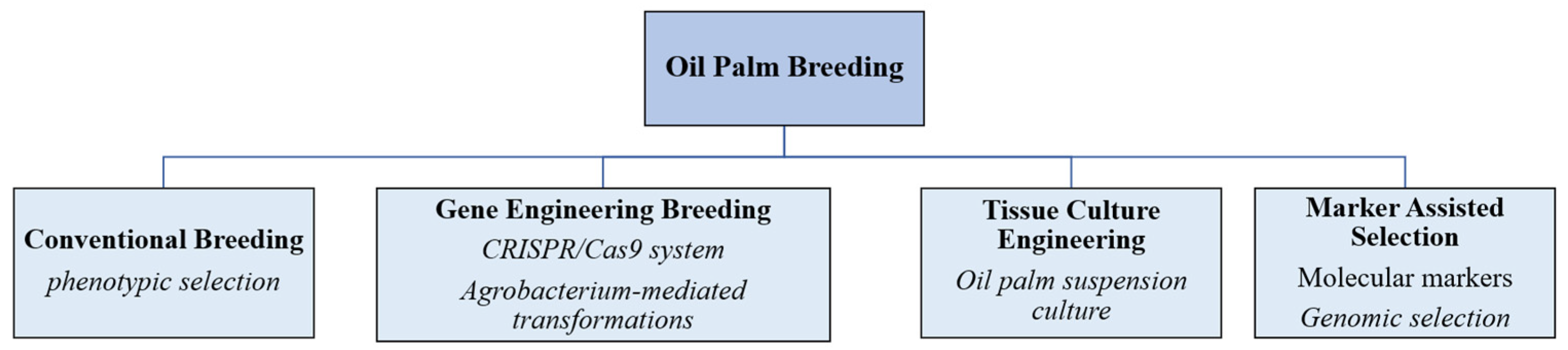 Ijms 25 08625 g003 Ijms 25 08625 g003