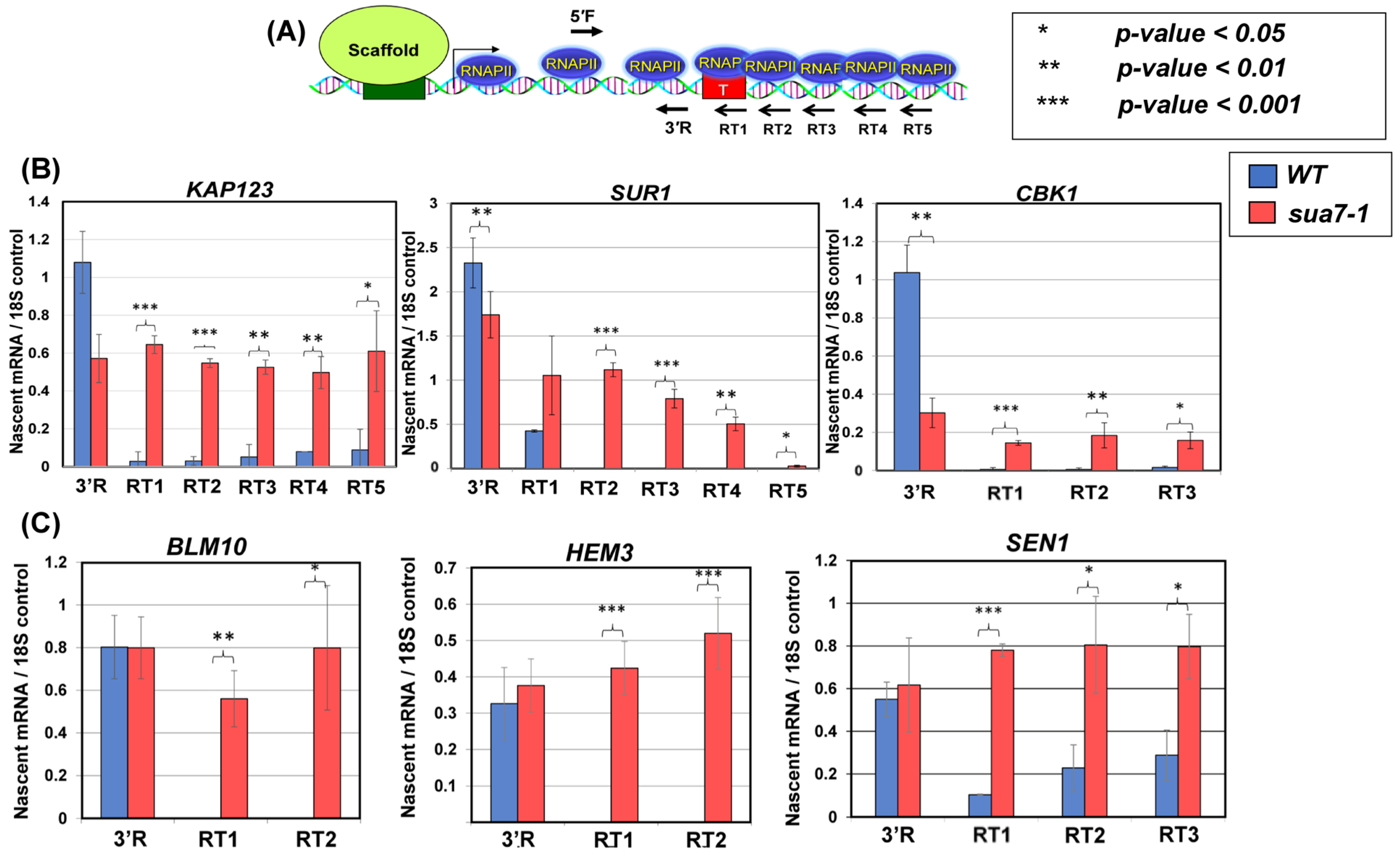 Ijms 25 08643 g001 Ijms 25 08643 g001
