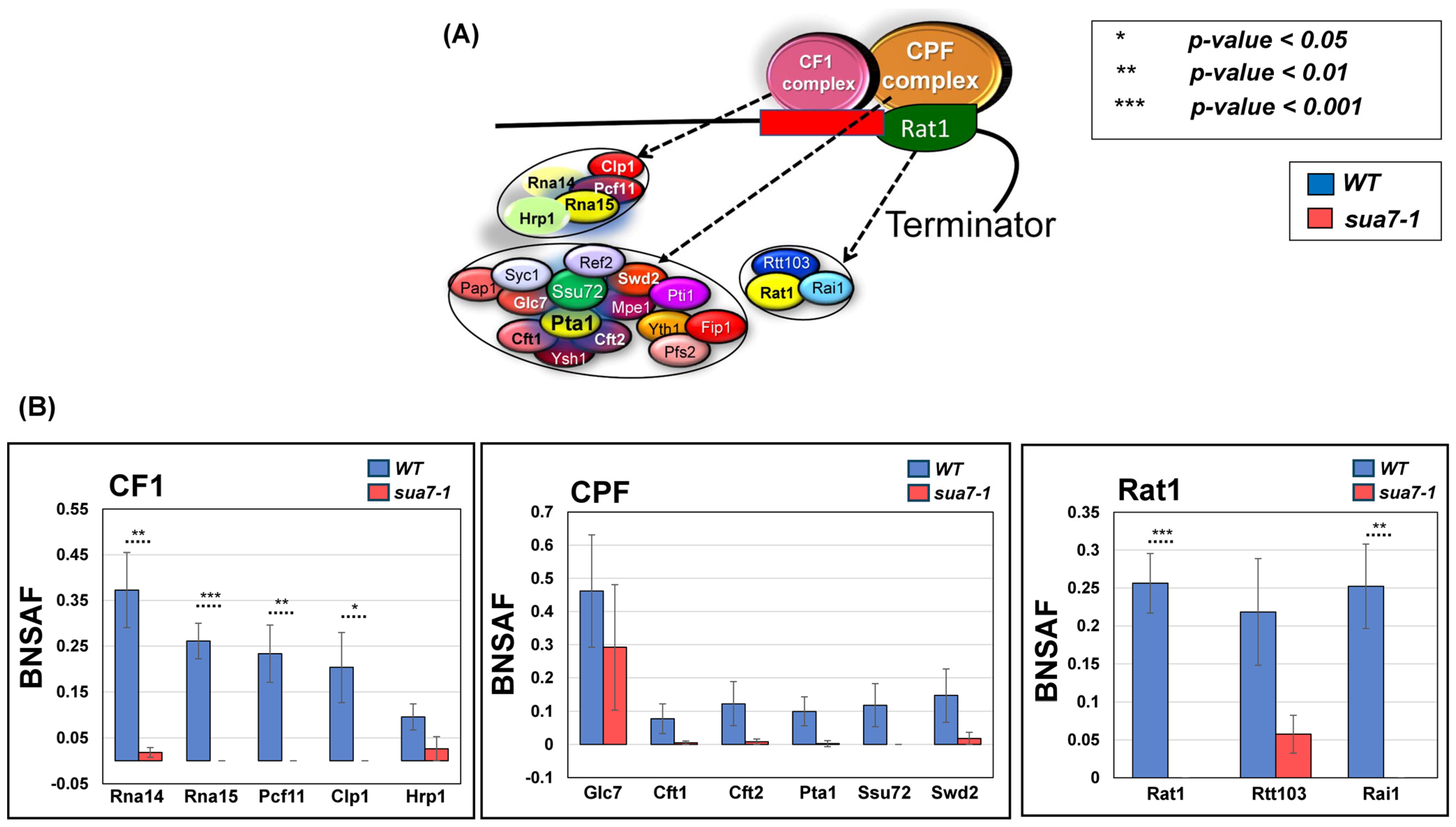 Ijms 25 08643 g004 Ijms 25 08643 g004