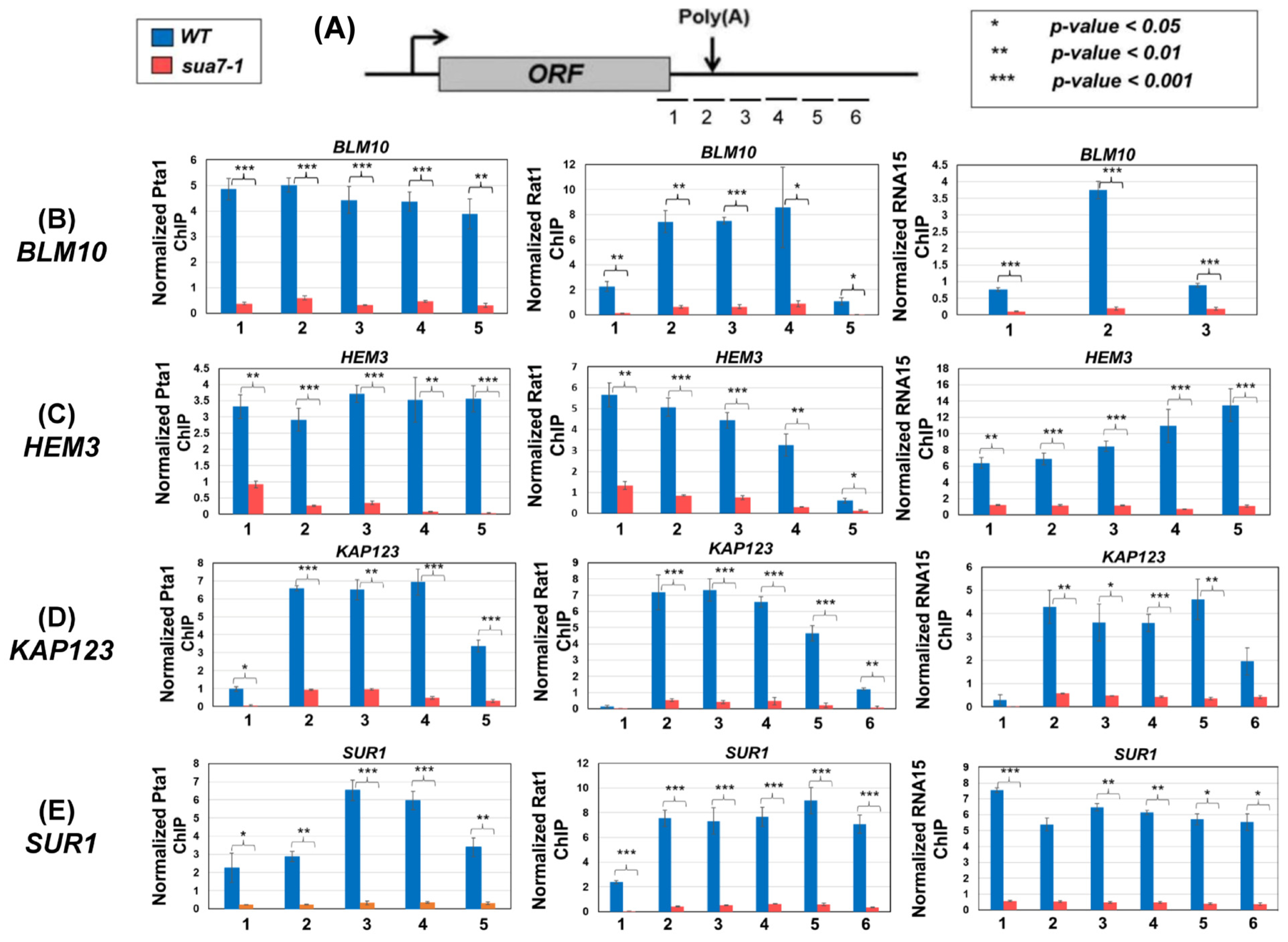 Ijms 25 08643 g005 Ijms 25 08643 g005