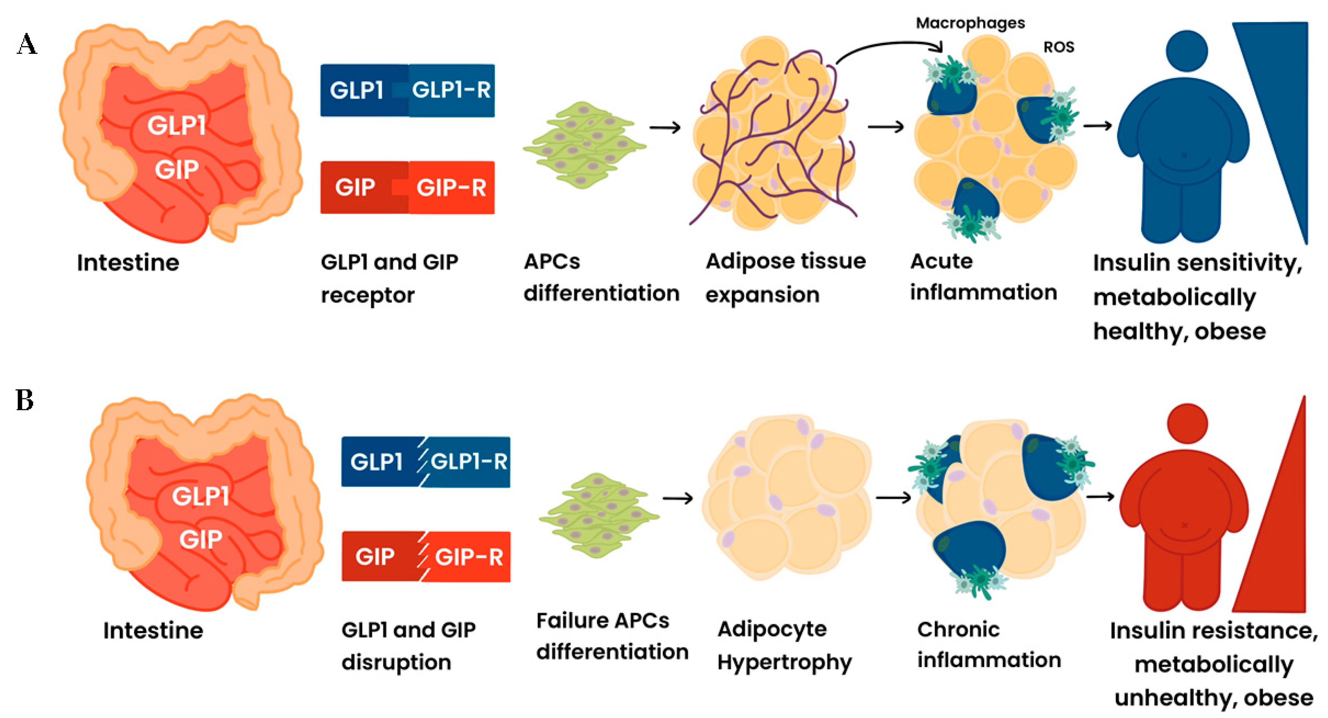 Ijms 25 08650 g001 Ijms 25 08650 g001
