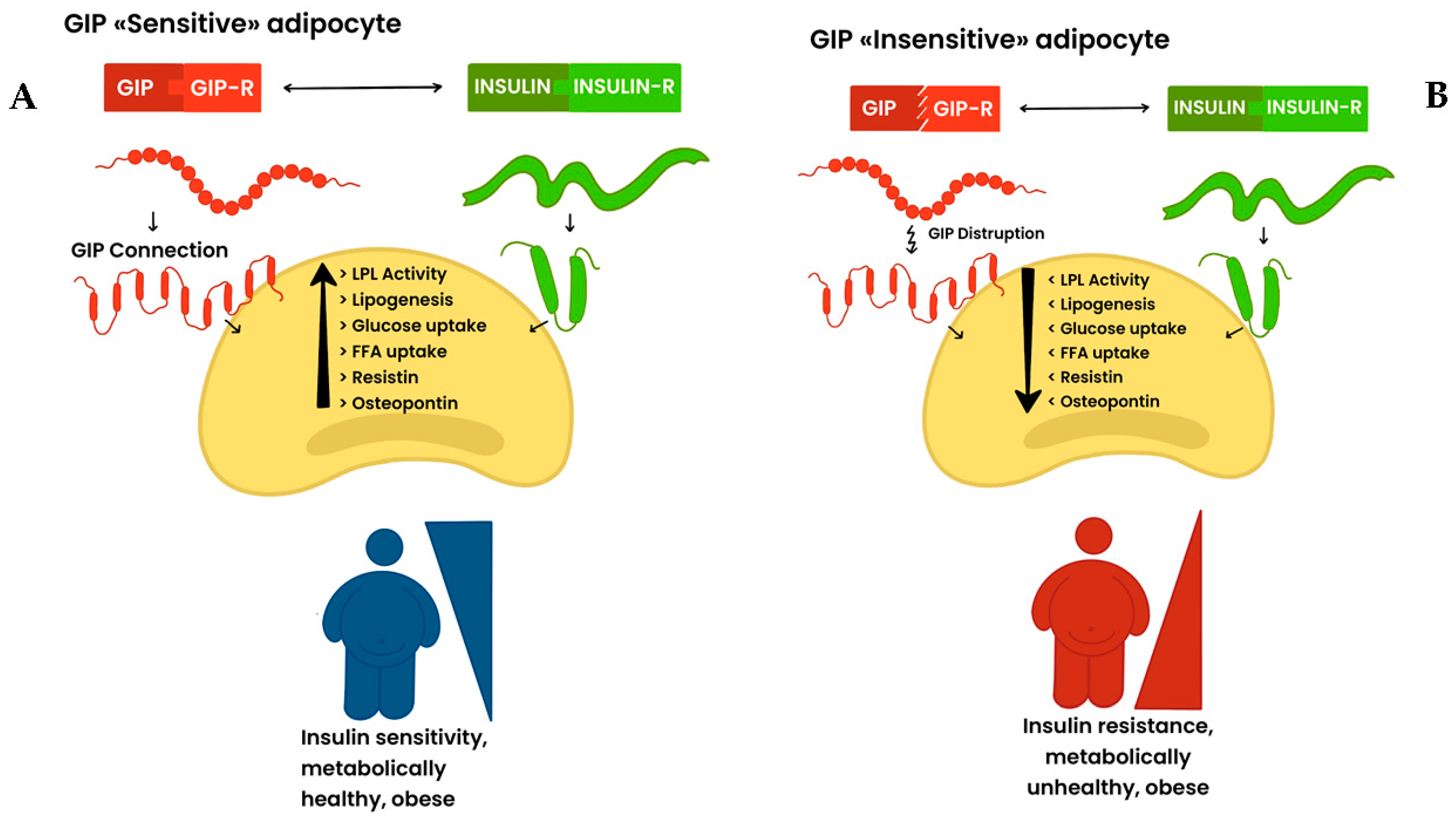Ijms 25 08650 g002 Ijms 25 08650 g002