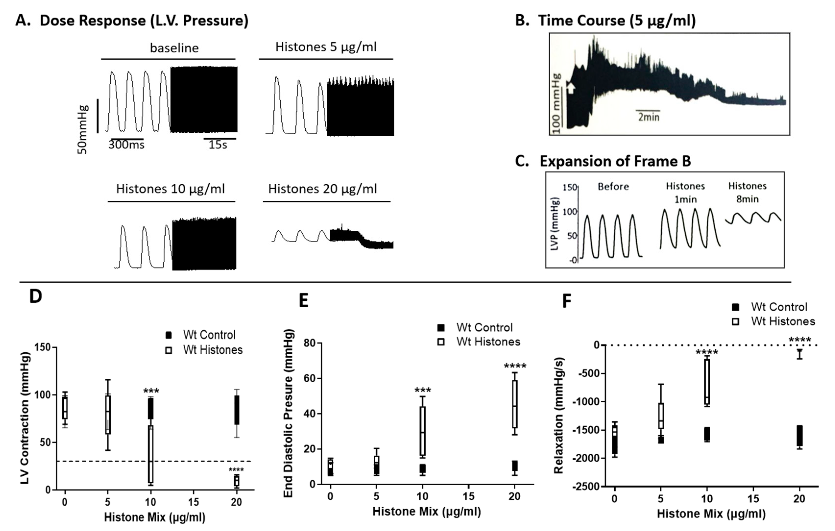 Ijms 25 08653 g001 Ijms 25 08653 g001