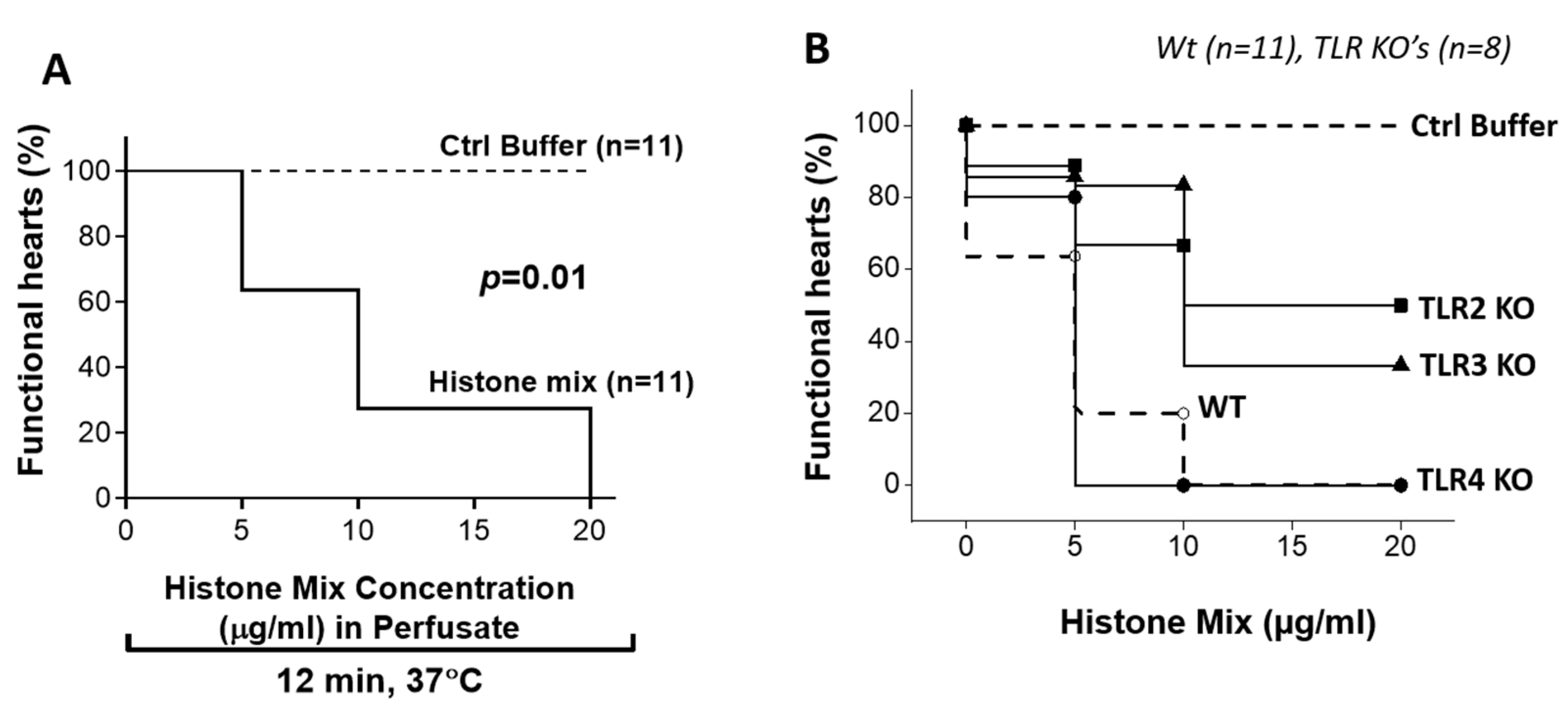Ijms 25 08653 g003 Ijms 25 08653 g003