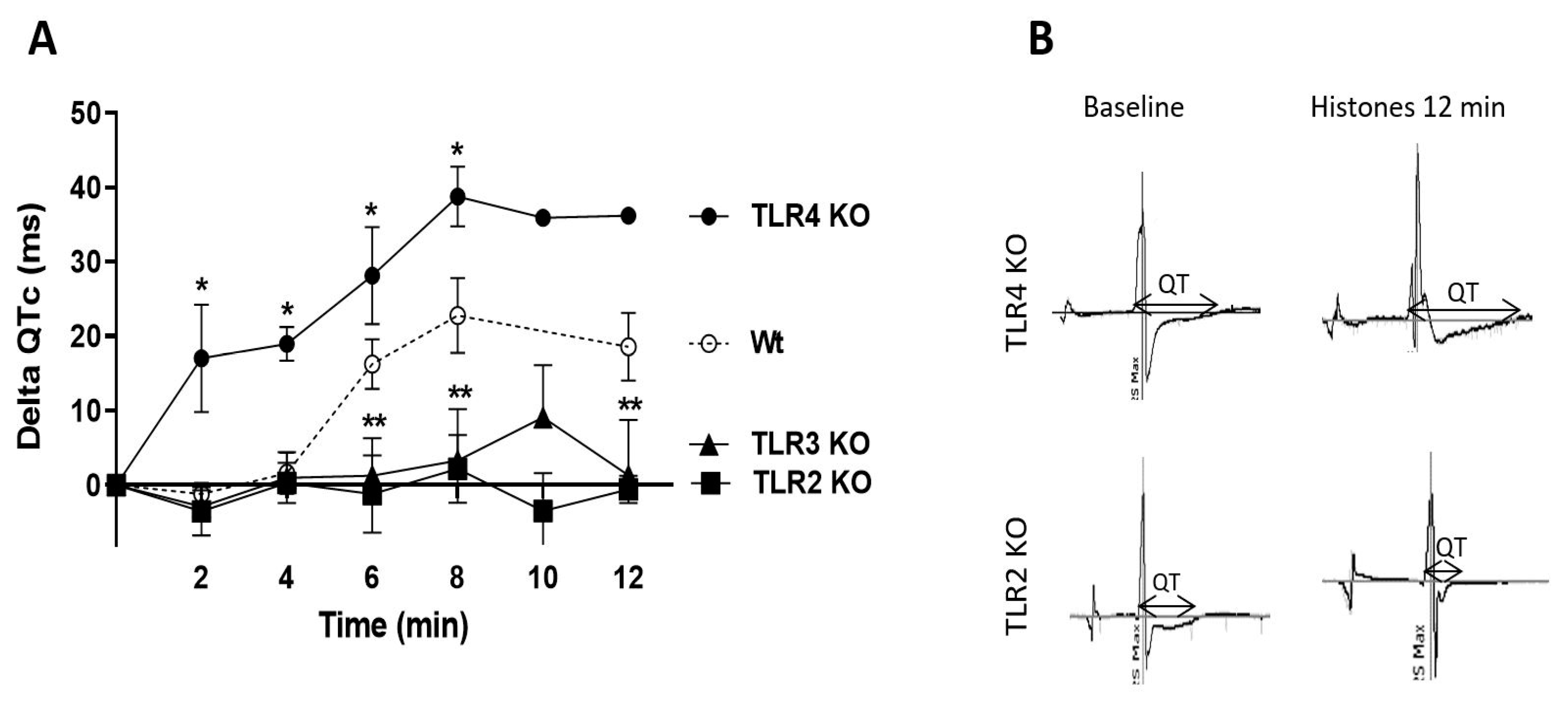 Ijms 25 08653 g005 Ijms 25 08653 g005