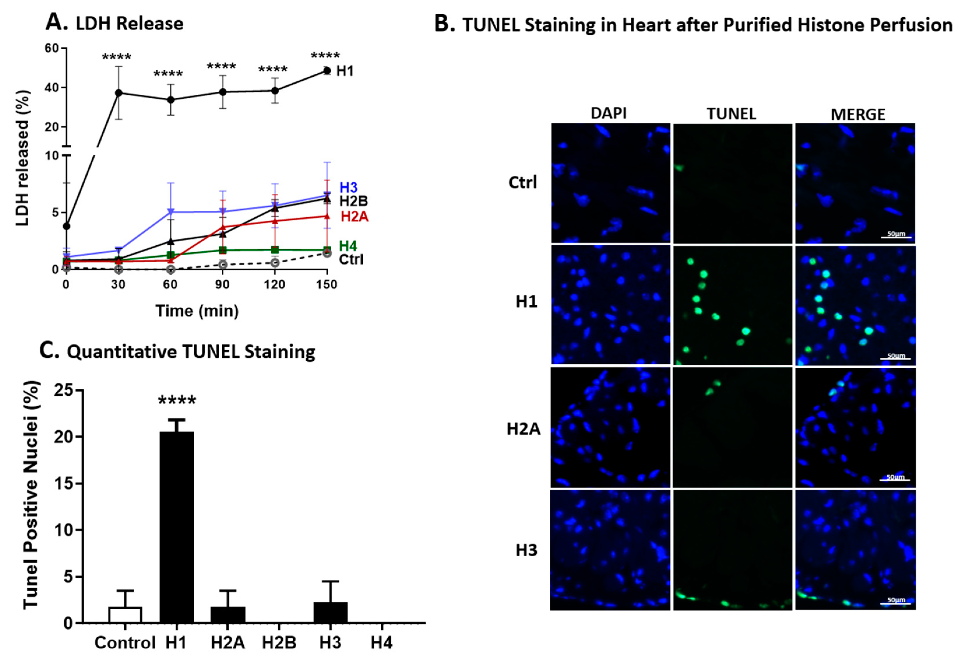 Ijms 25 08653 g008 Ijms 25 08653 g008