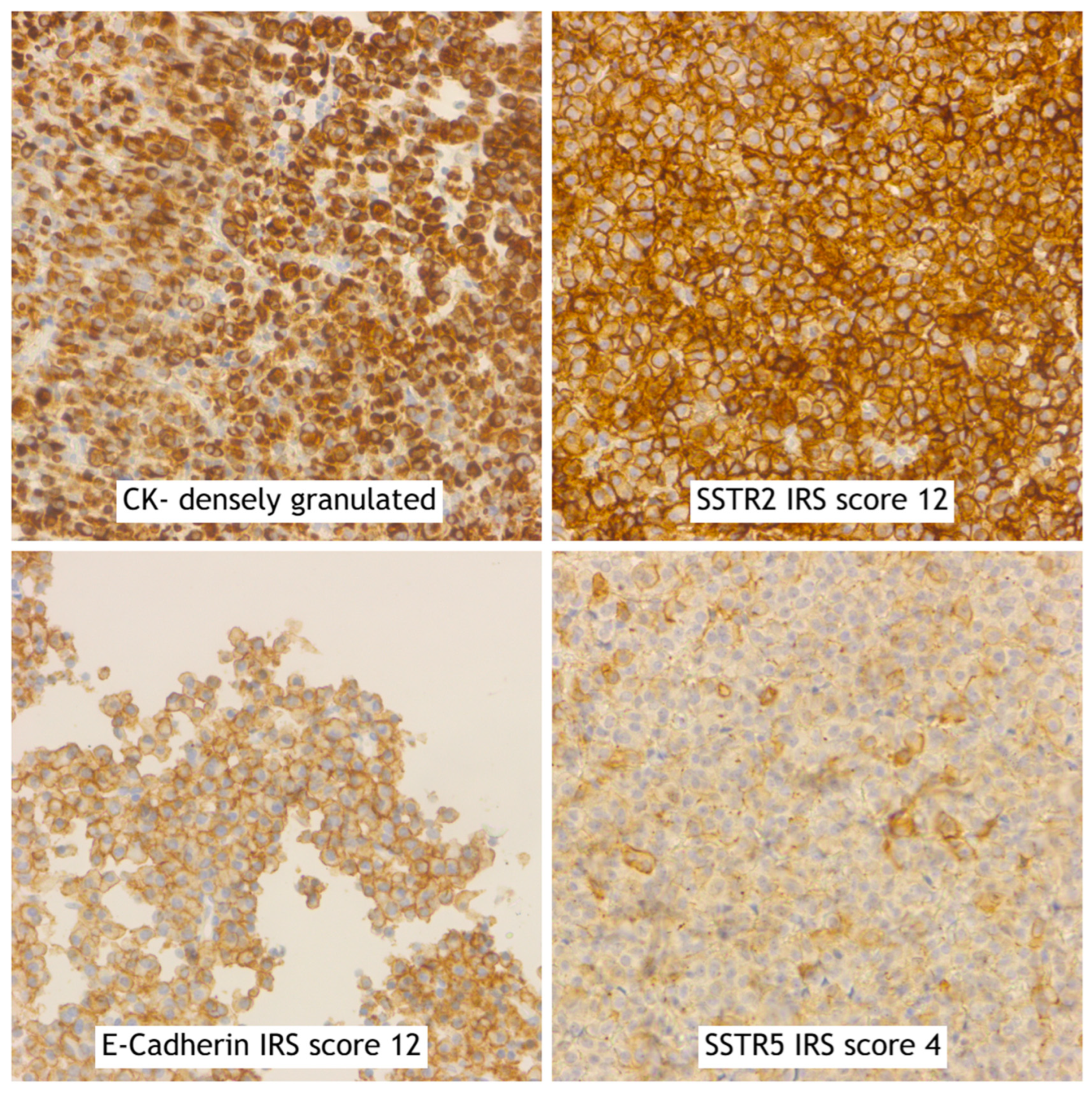 Ijms 25 08663 g004 Ijms 25 08663 g004