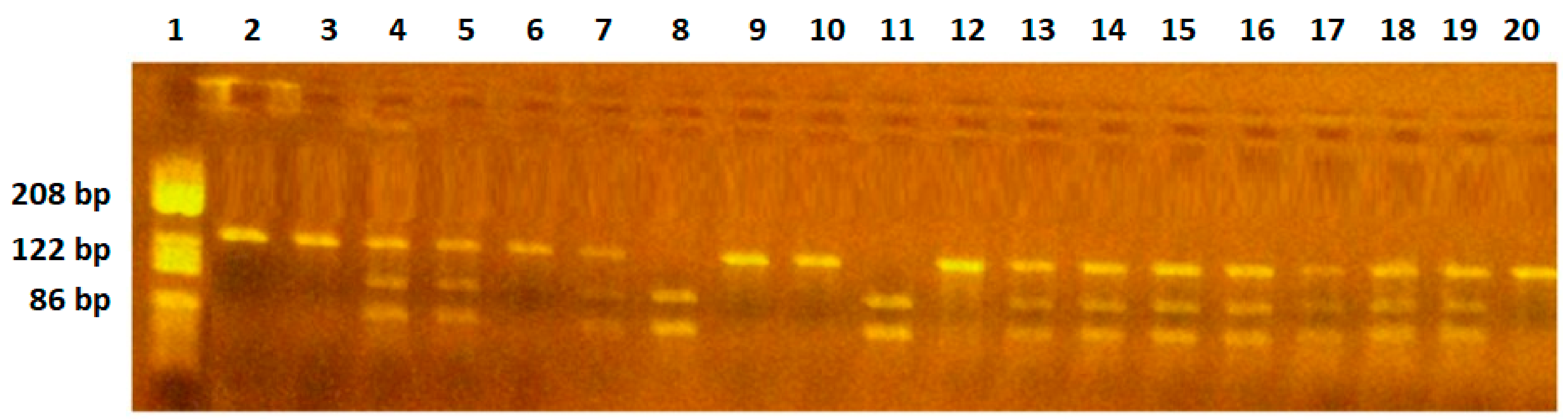 Ijms 25 08667 g001 Ijms 25 08667 g001