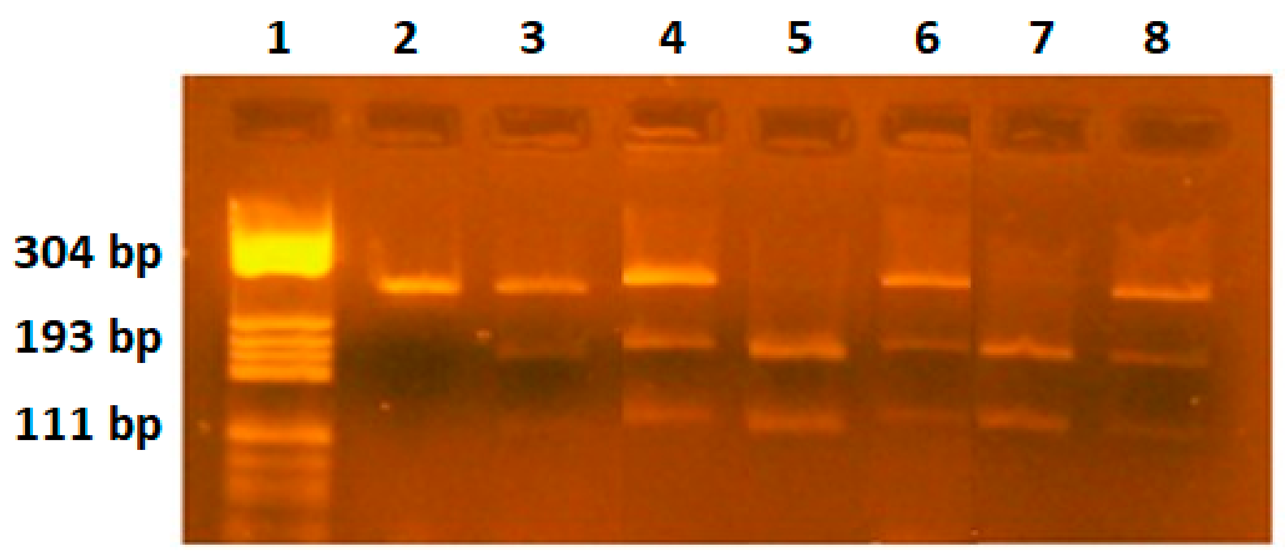 Ijms 25 08667 g002 Ijms 25 08667 g002