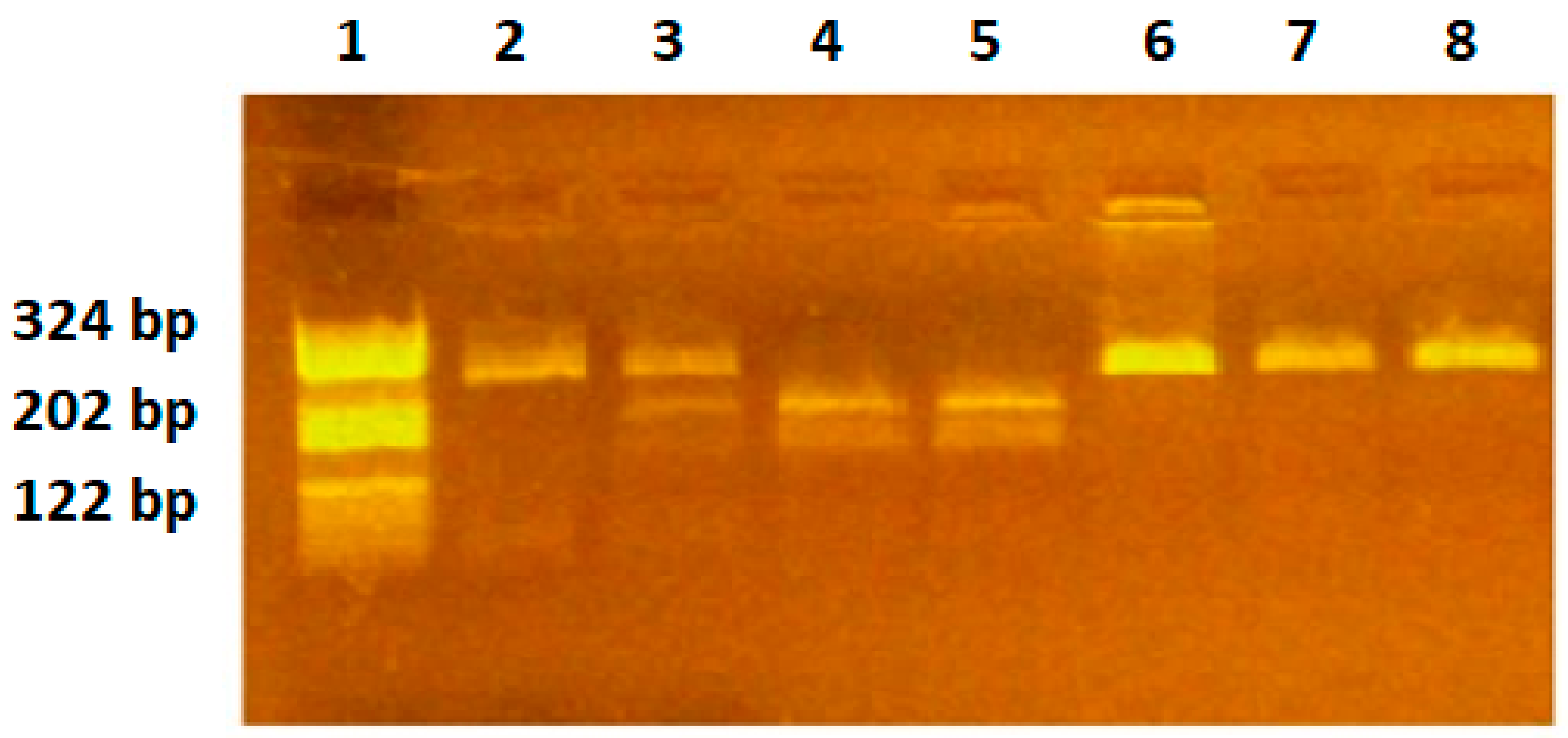 Ijms 25 08667 g003 Ijms 25 08667 g003