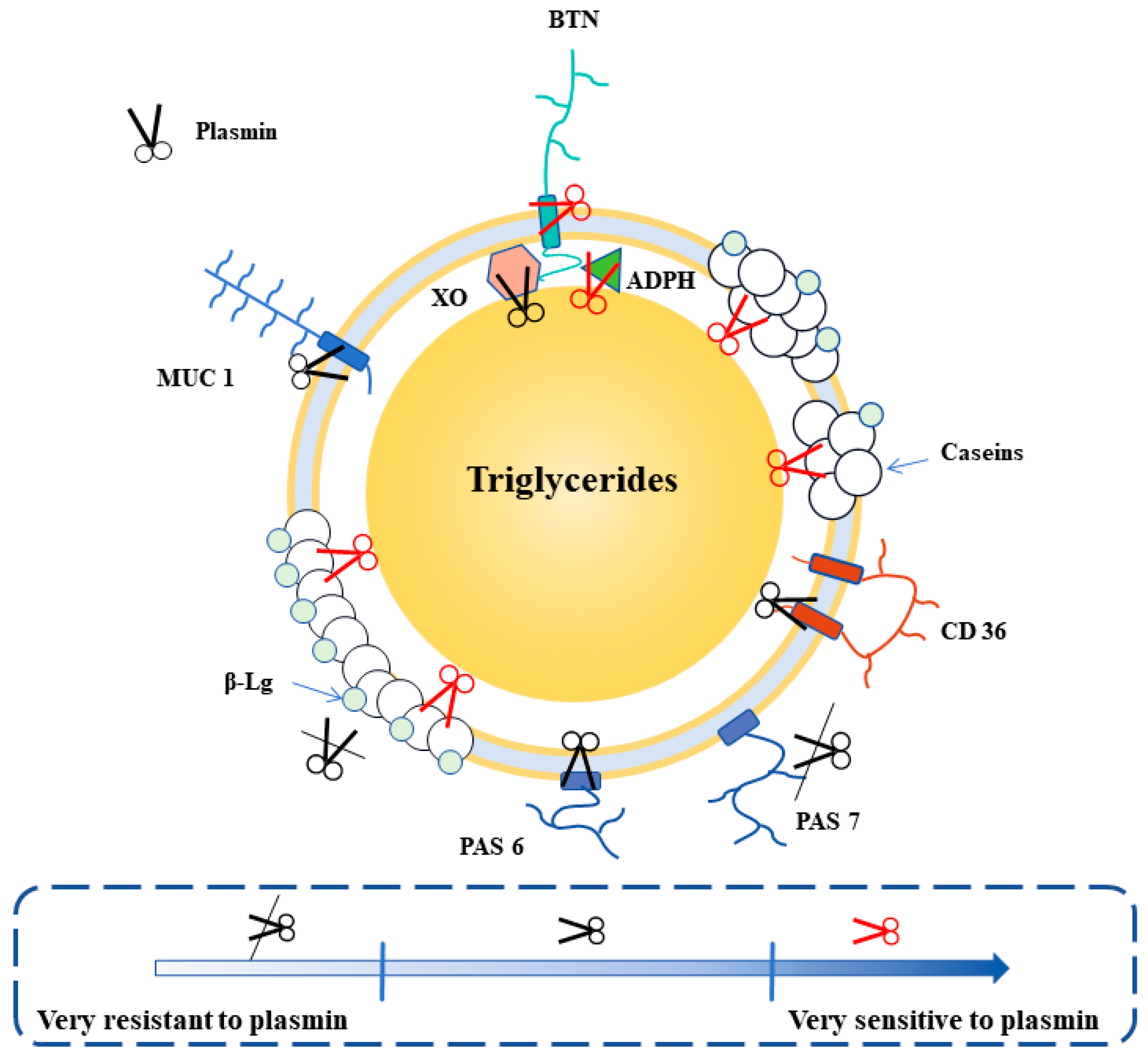 Ijms 25 08670 g002 Ijms 25 08670 g002