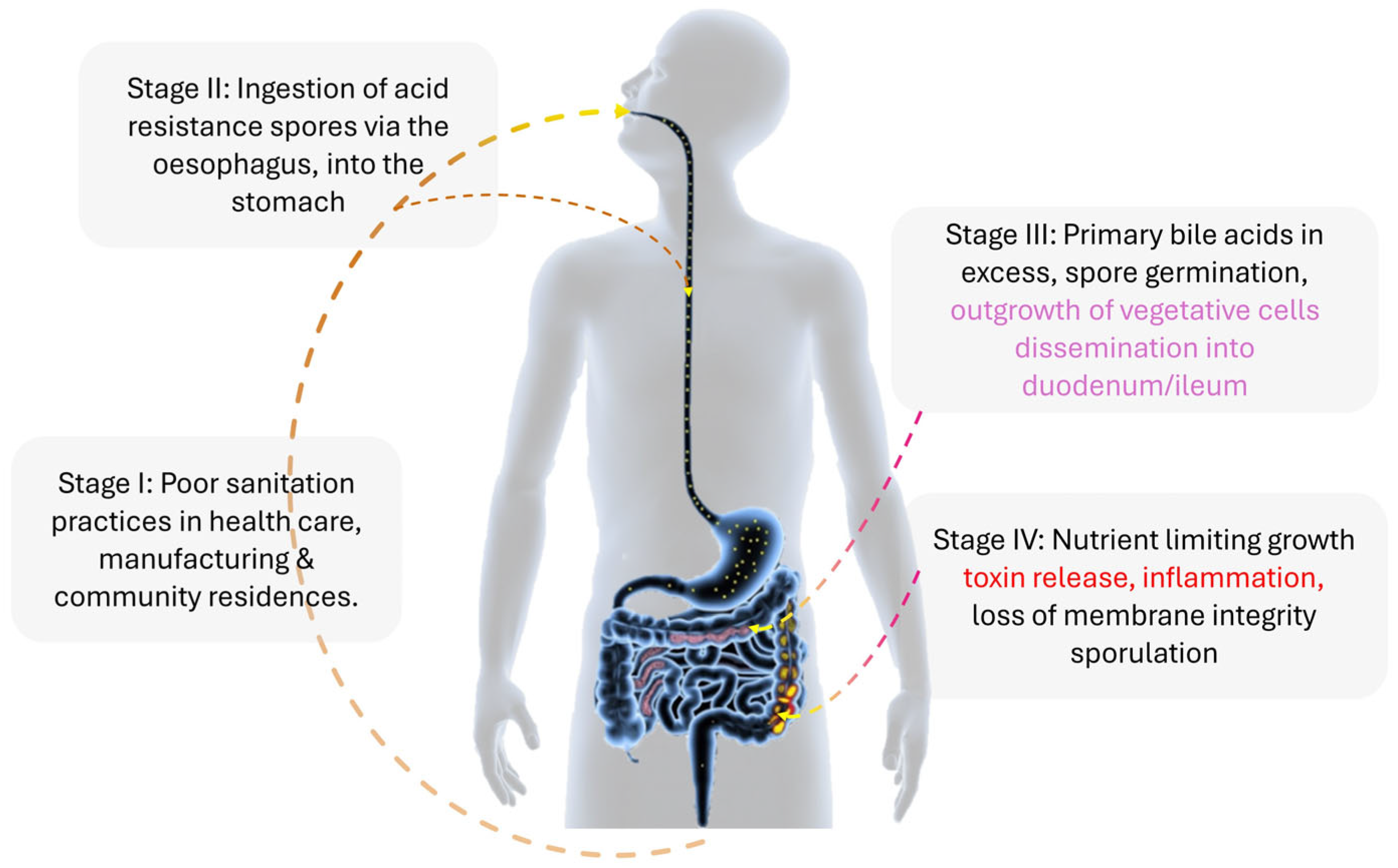Ijms 25 08672 g001 Ijms 25 08672 g001
