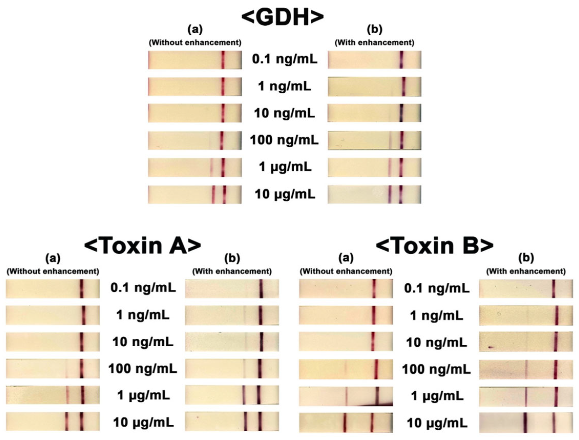 Ijms 25 08672 g003 Ijms 25 08672 g003