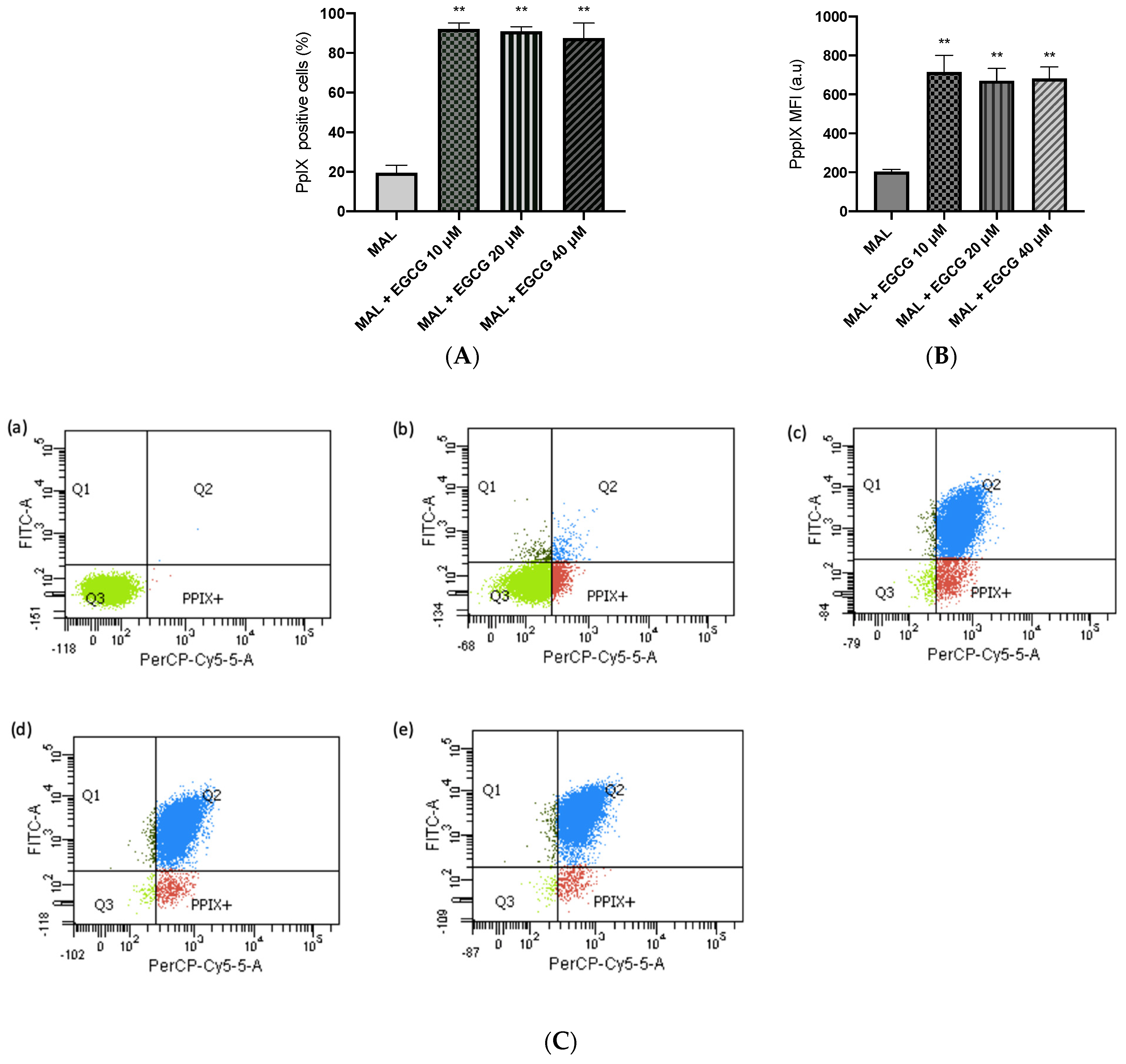 Ijms 25 08683 g006 Ijms 25 08683 g006