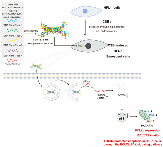 ghk-cu peptide effects on sleep quality dreaming GHK-Cu vs AHK-Cu: Which Copper Peptide Is More Effective?