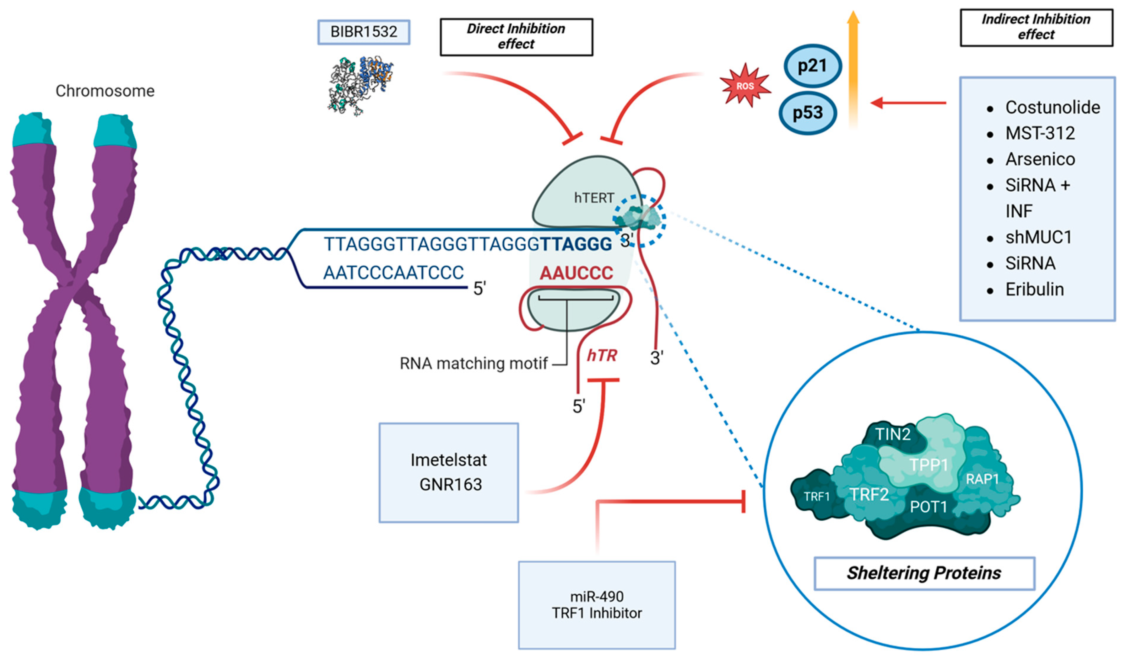 Ijms 25 08700 g003 Ijms 25 08700 g003
