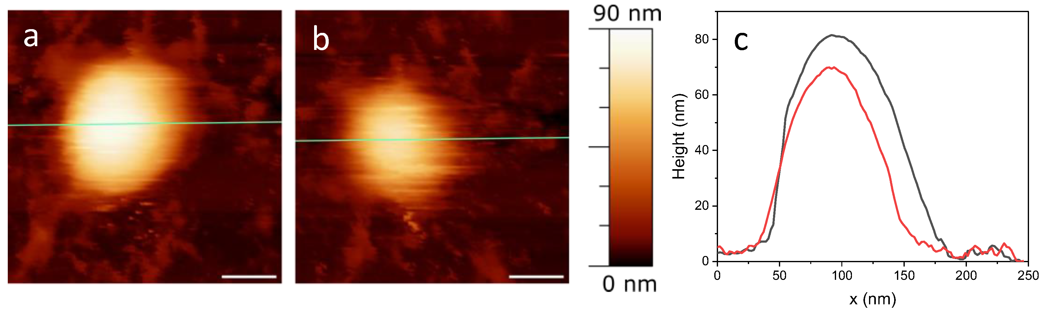 Ijms 25 08724 g002 Ijms 25 08724 g002