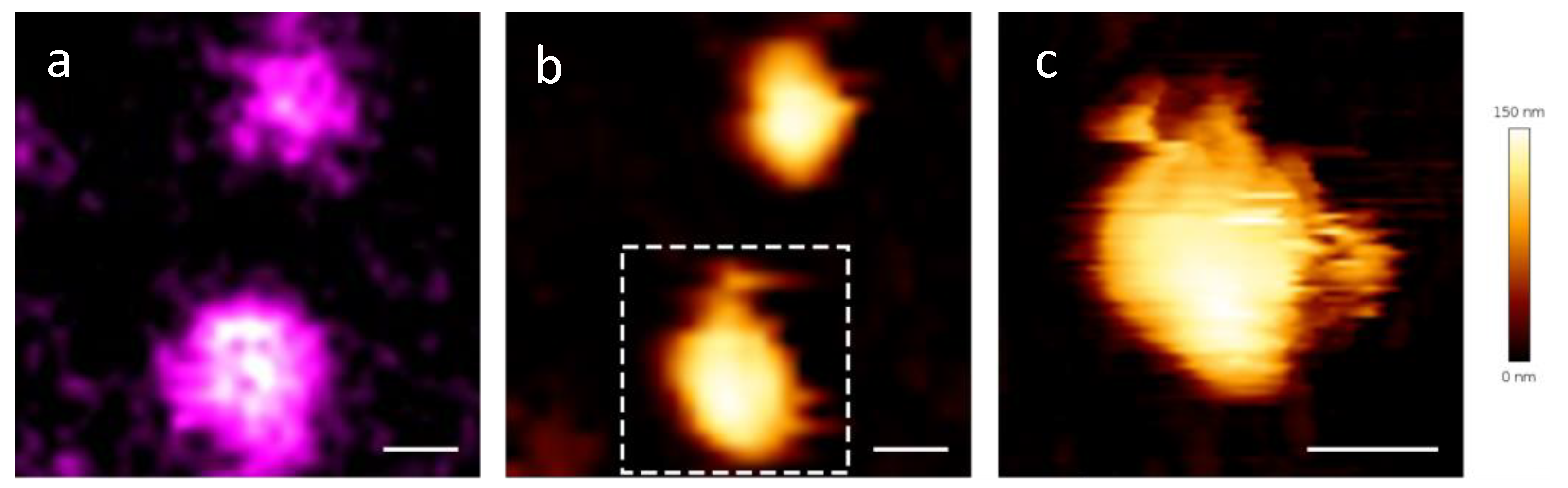 Ijms 25 08724 g003 Ijms 25 08724 g003