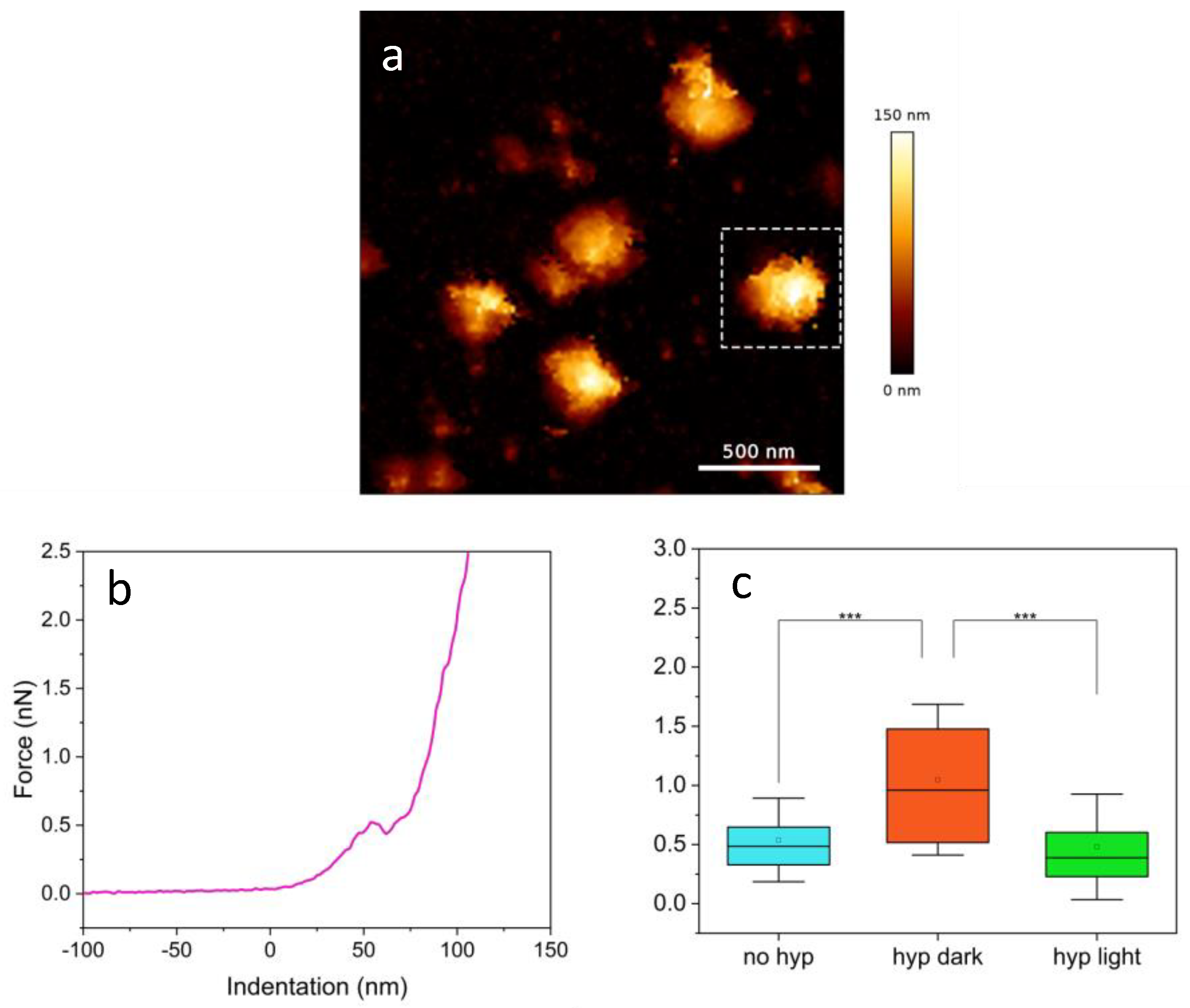 Ijms 25 08724 g004 Ijms 25 08724 g004