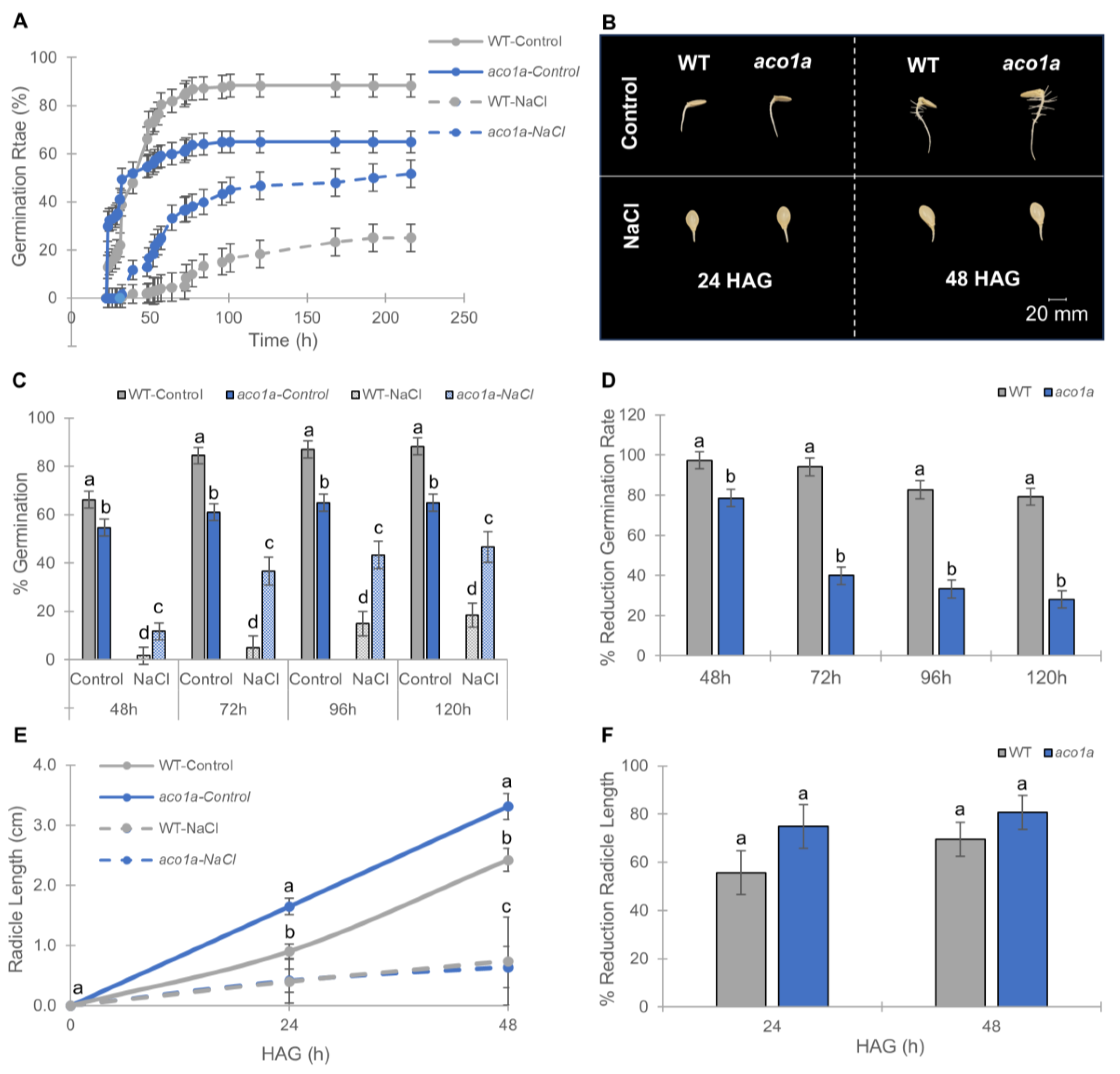 Ijms 25 08728 g001 Ijms 25 08728 g001