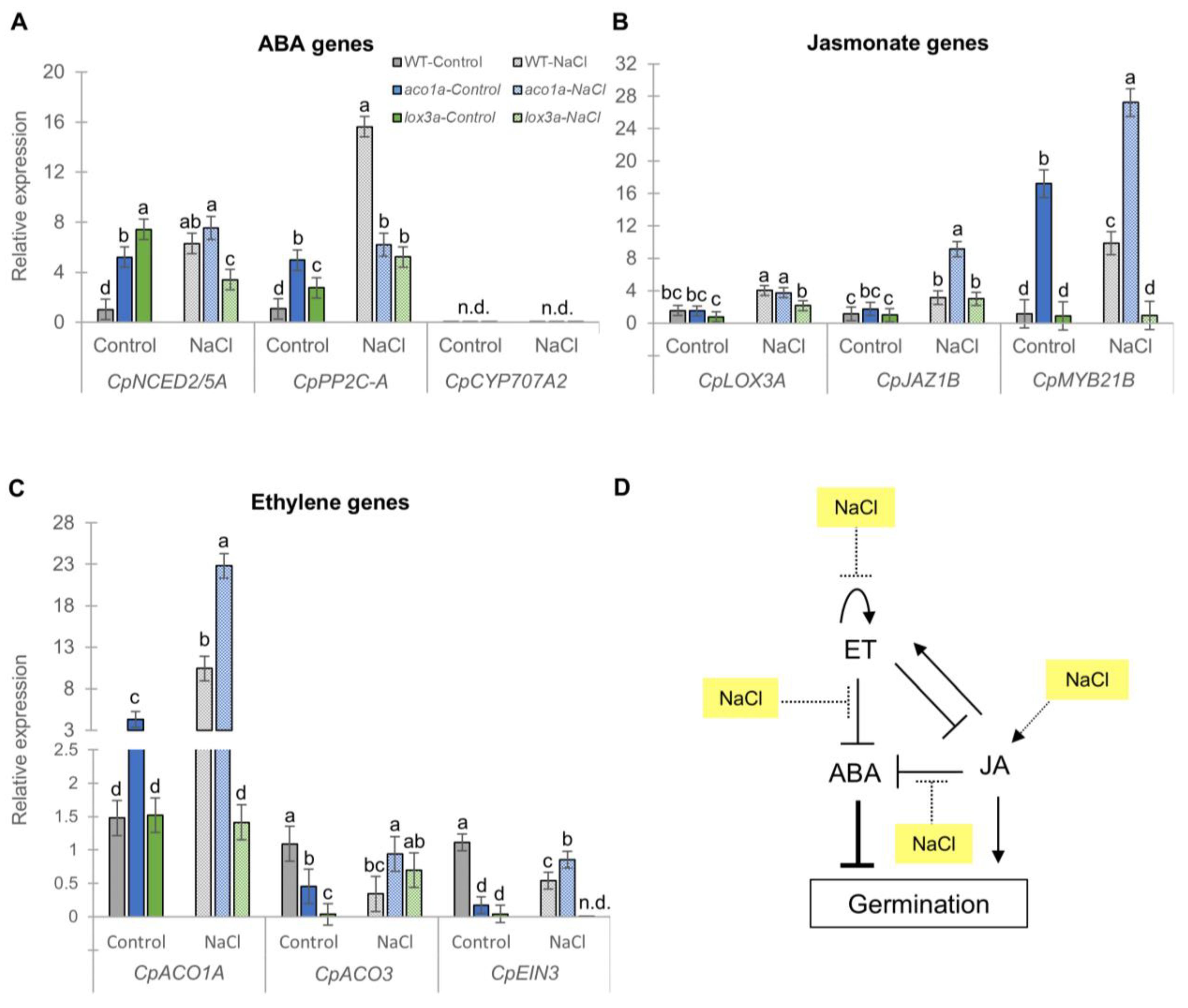 Ijms 25 08728 g003 Ijms 25 08728 g003