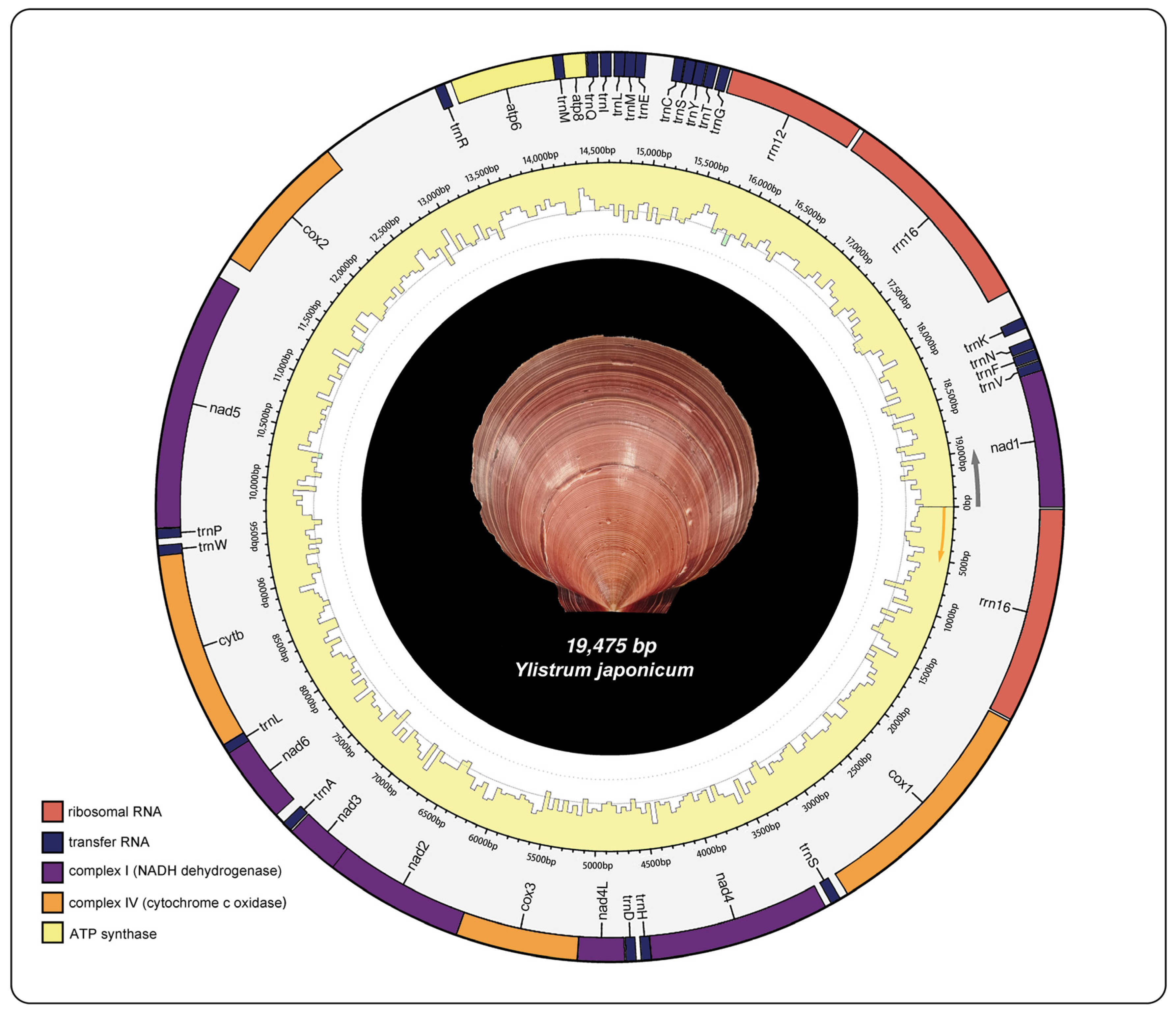 Ijms 25 08755 g001 Ijms 25 08755 g001