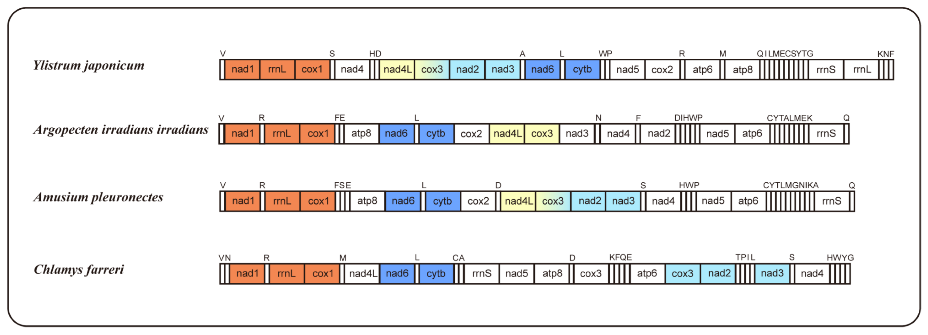 Ijms 25 08755 g002 Ijms 25 08755 g002