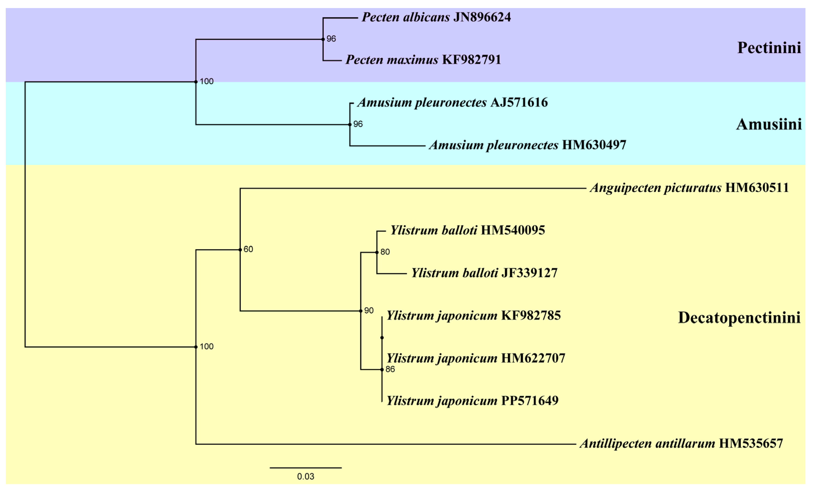 Ijms 25 08755 g005 Ijms 25 08755 g005