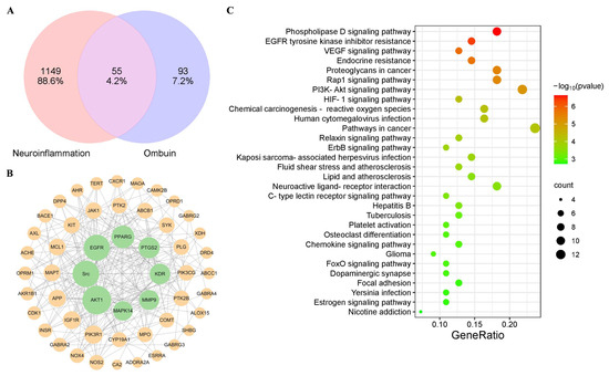 その他 sa-ra Anti-Neuroinflammatory Effect of Ombuin from Rhamnus