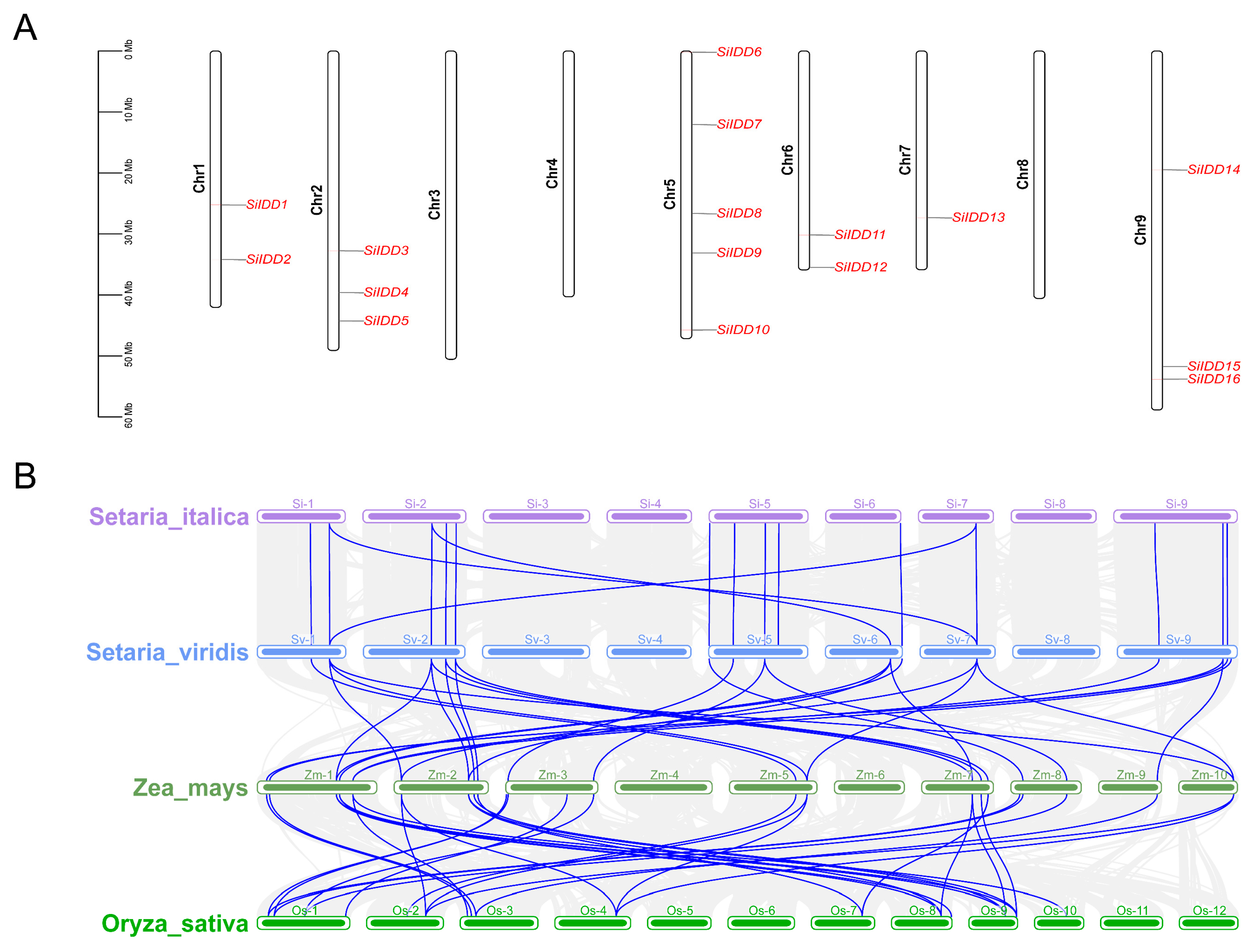 Ijms 25 08804 g004 Ijms 25 08804 g004