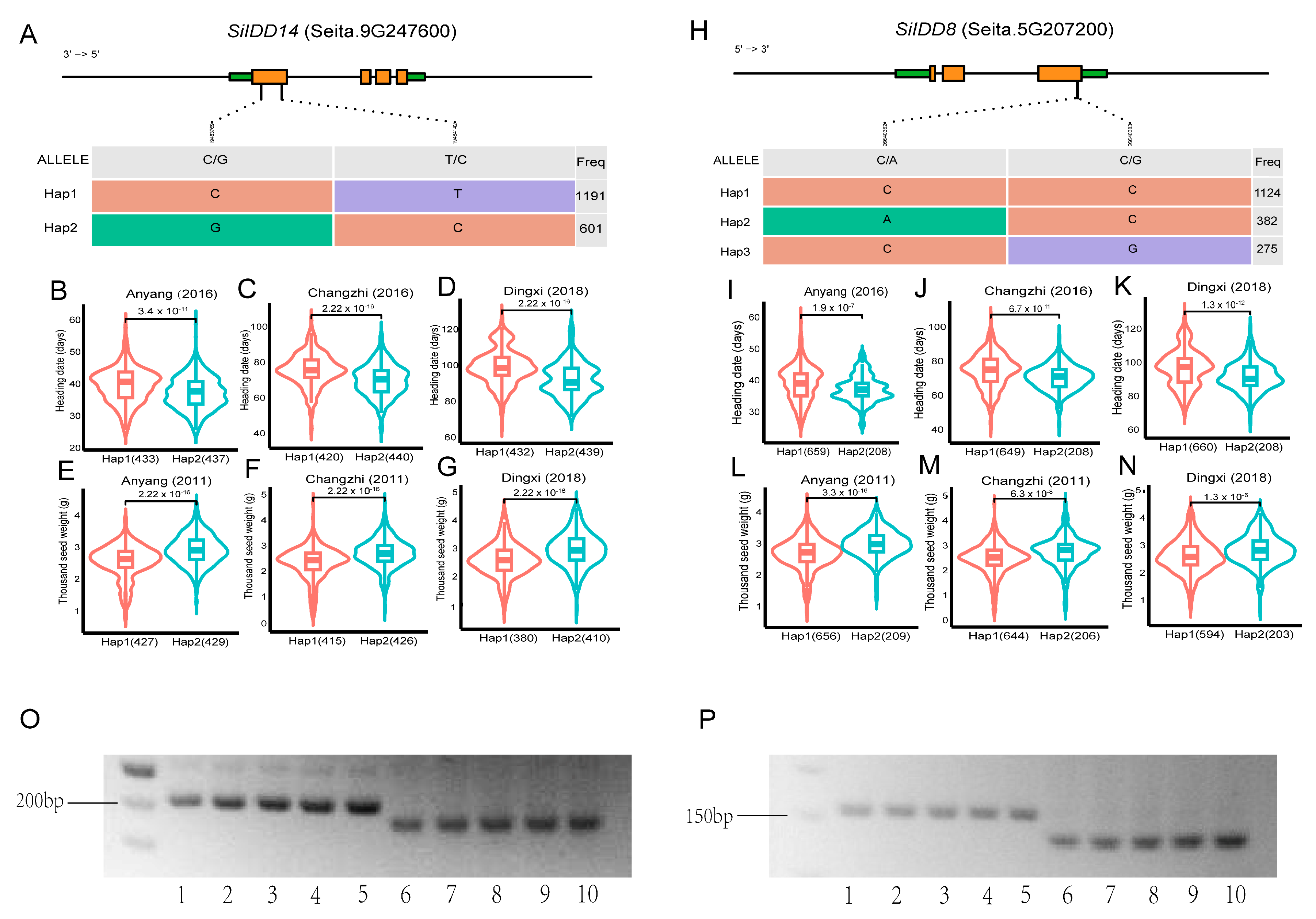 Ijms 25 08804 g006 Ijms 25 08804 g006