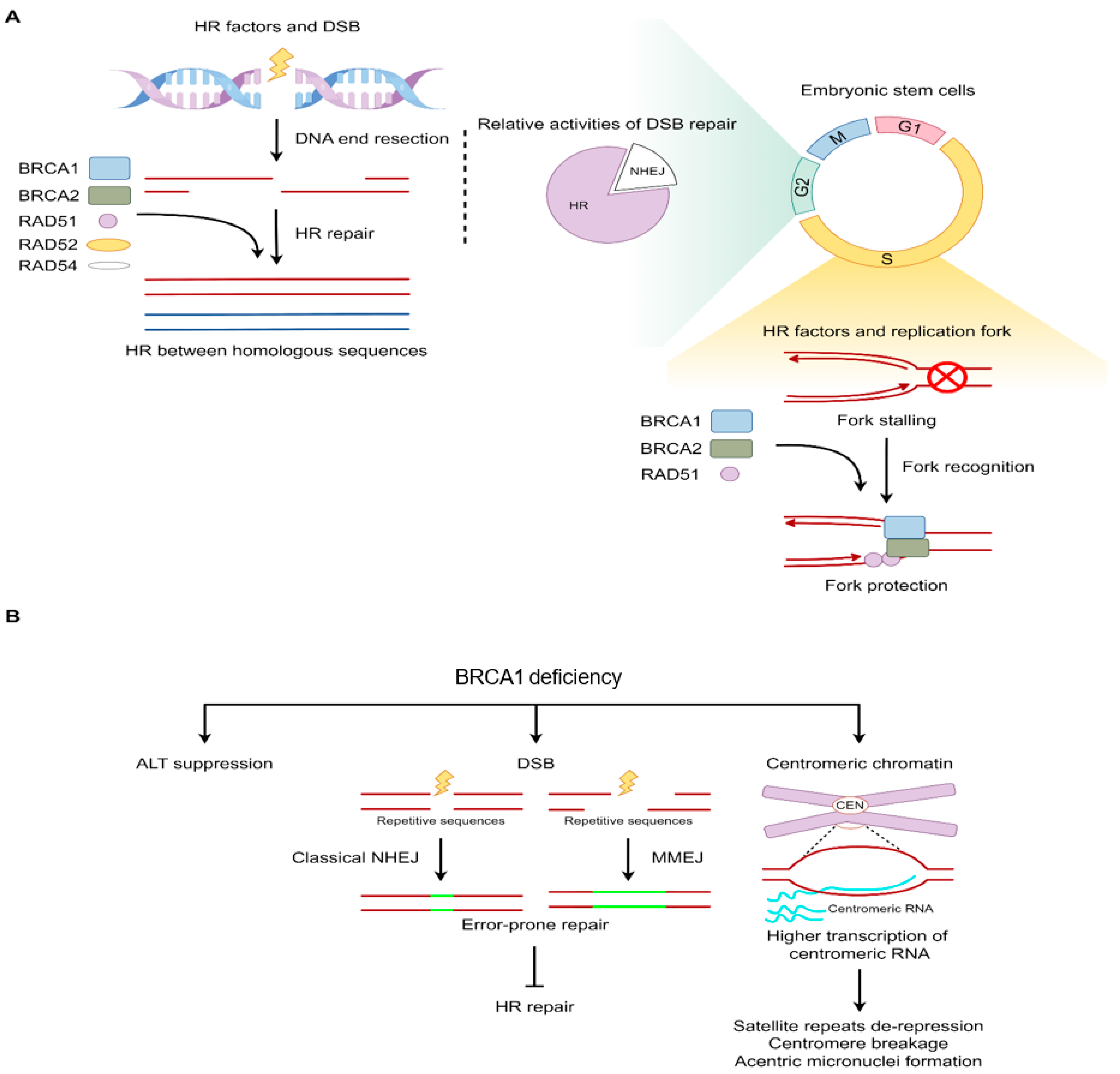Ijms 25 08819 g002 Ijms 25 08819 g002