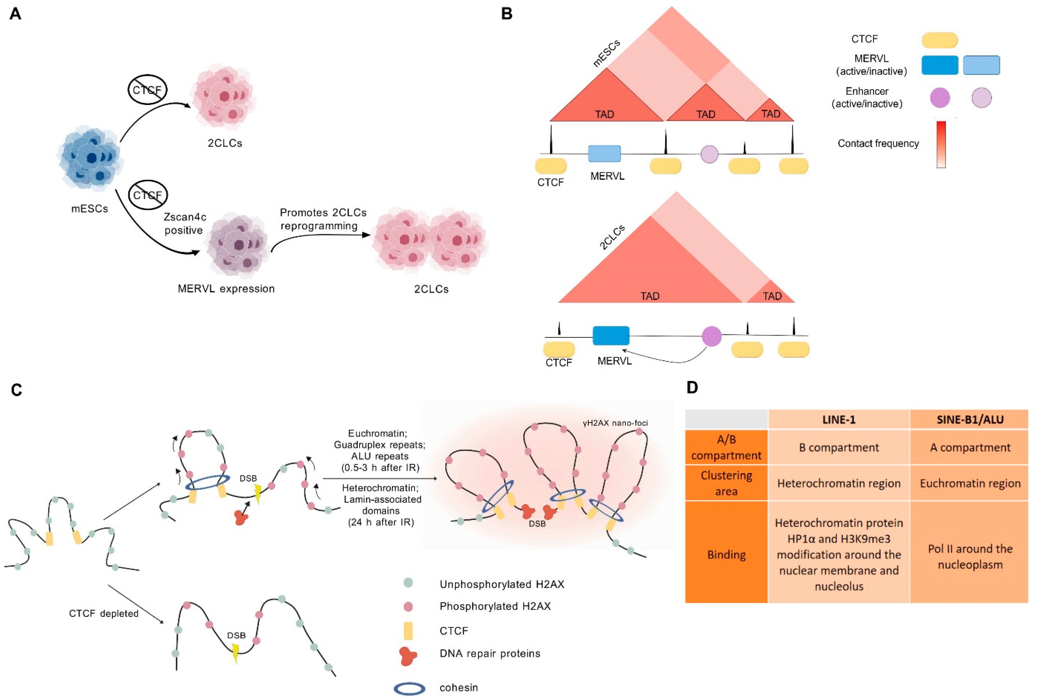 Ijms 25 08819 g005 Ijms 25 08819 g005