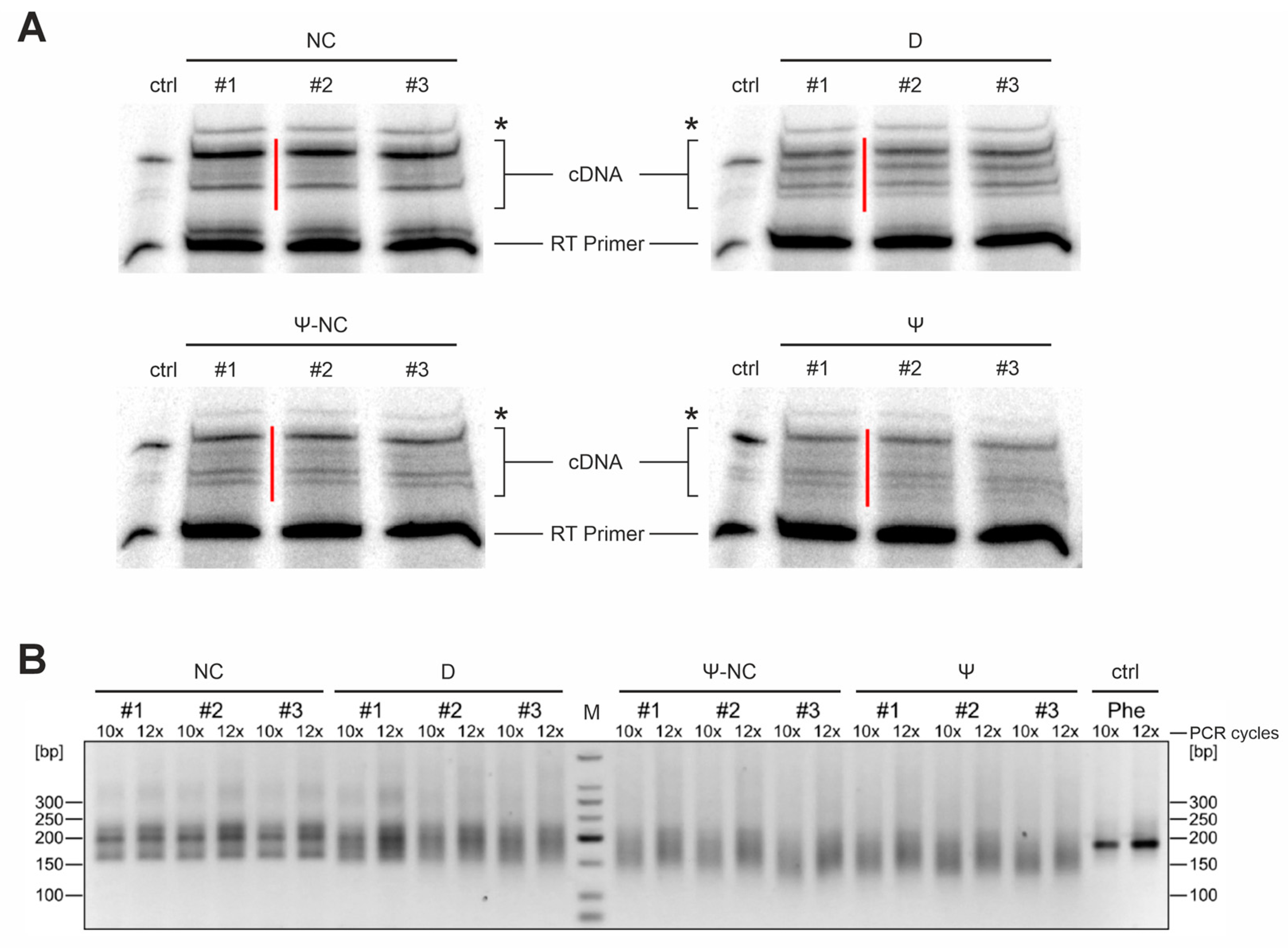 Ijms 25 08823 g002 Ijms 25 08823 g002