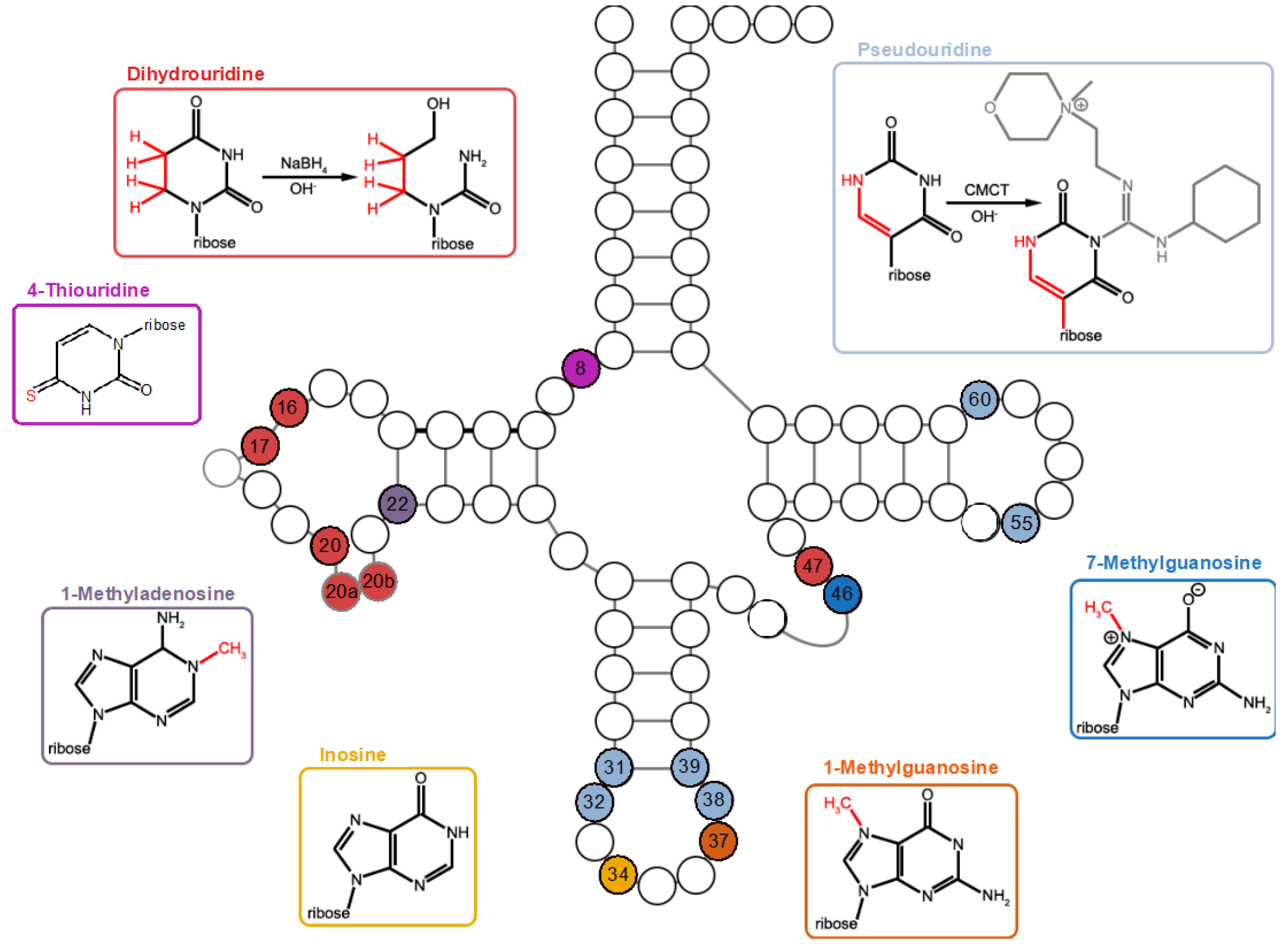 Ijms 25 08823 g005 Ijms 25 08823 g005